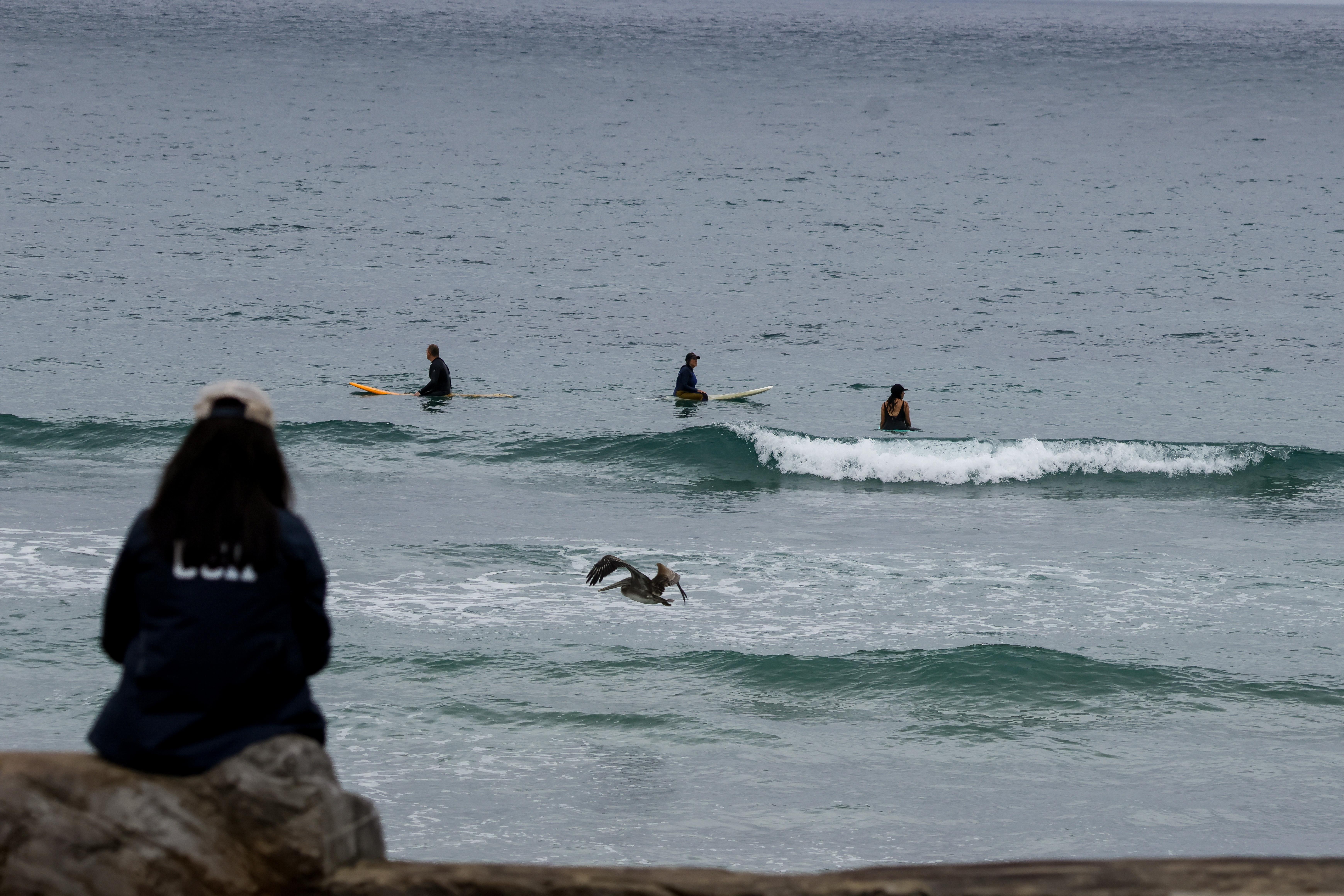 tourmaline Surf park