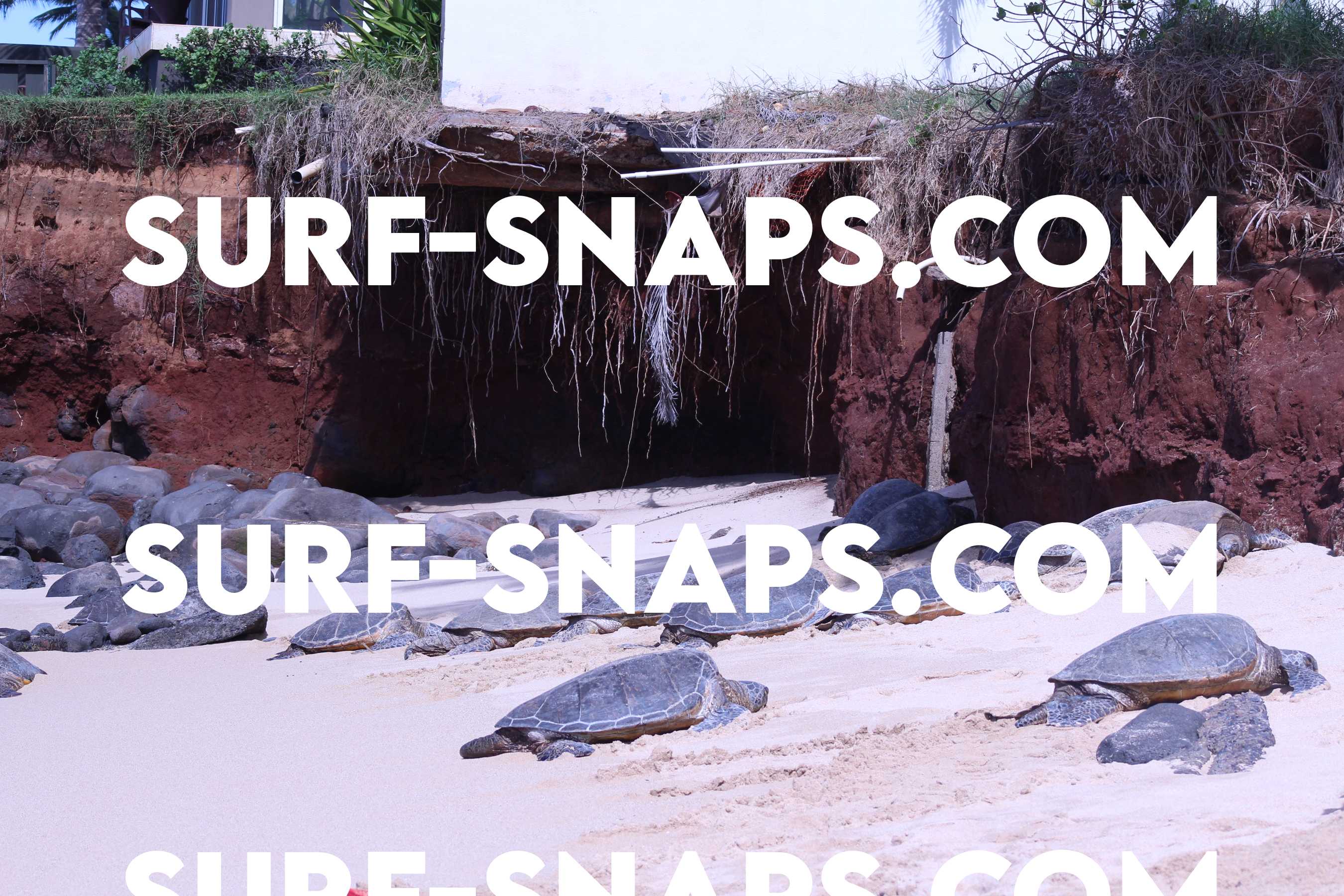 Kaulahao Beach photo 43