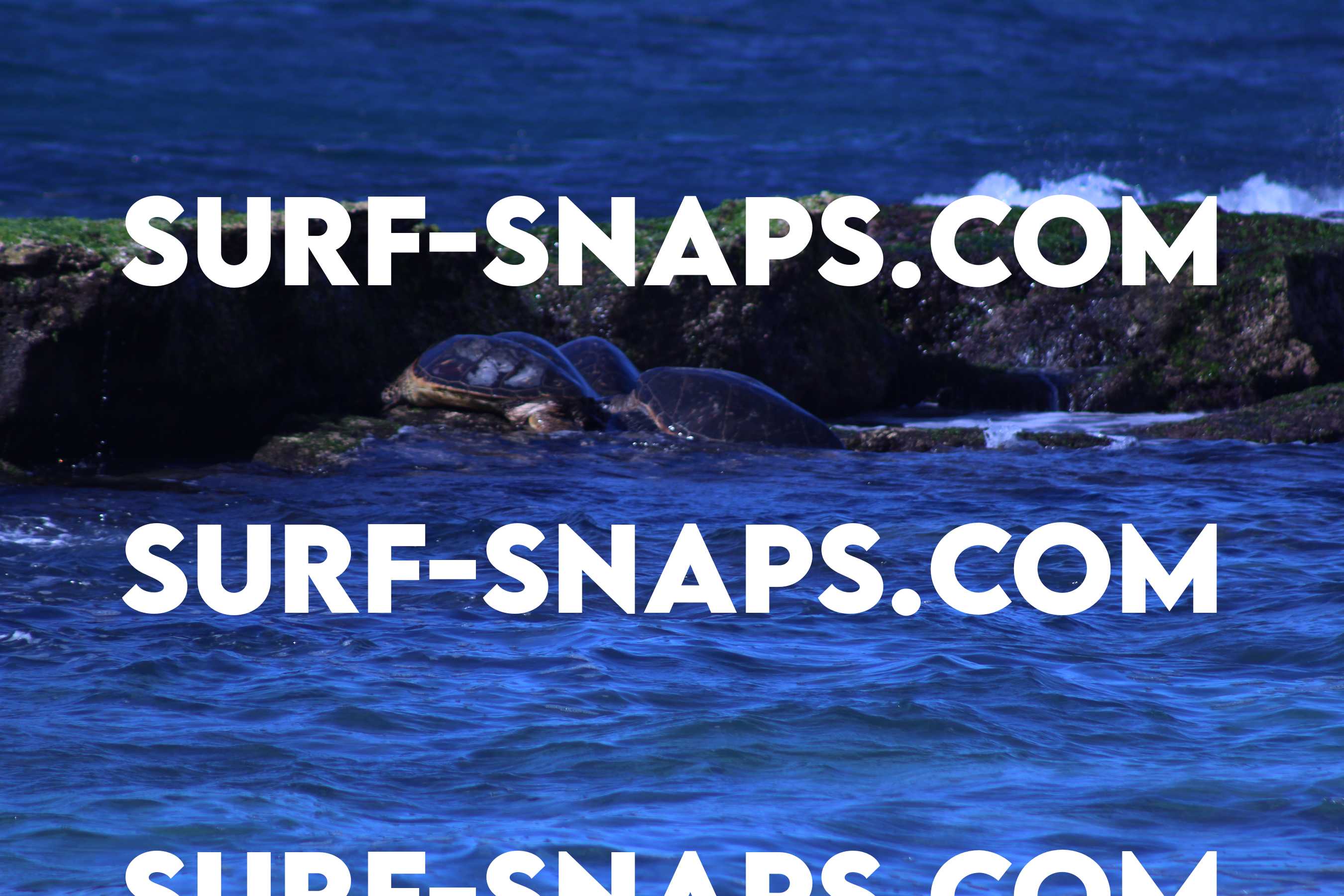 Kaulahao Beach photo 78