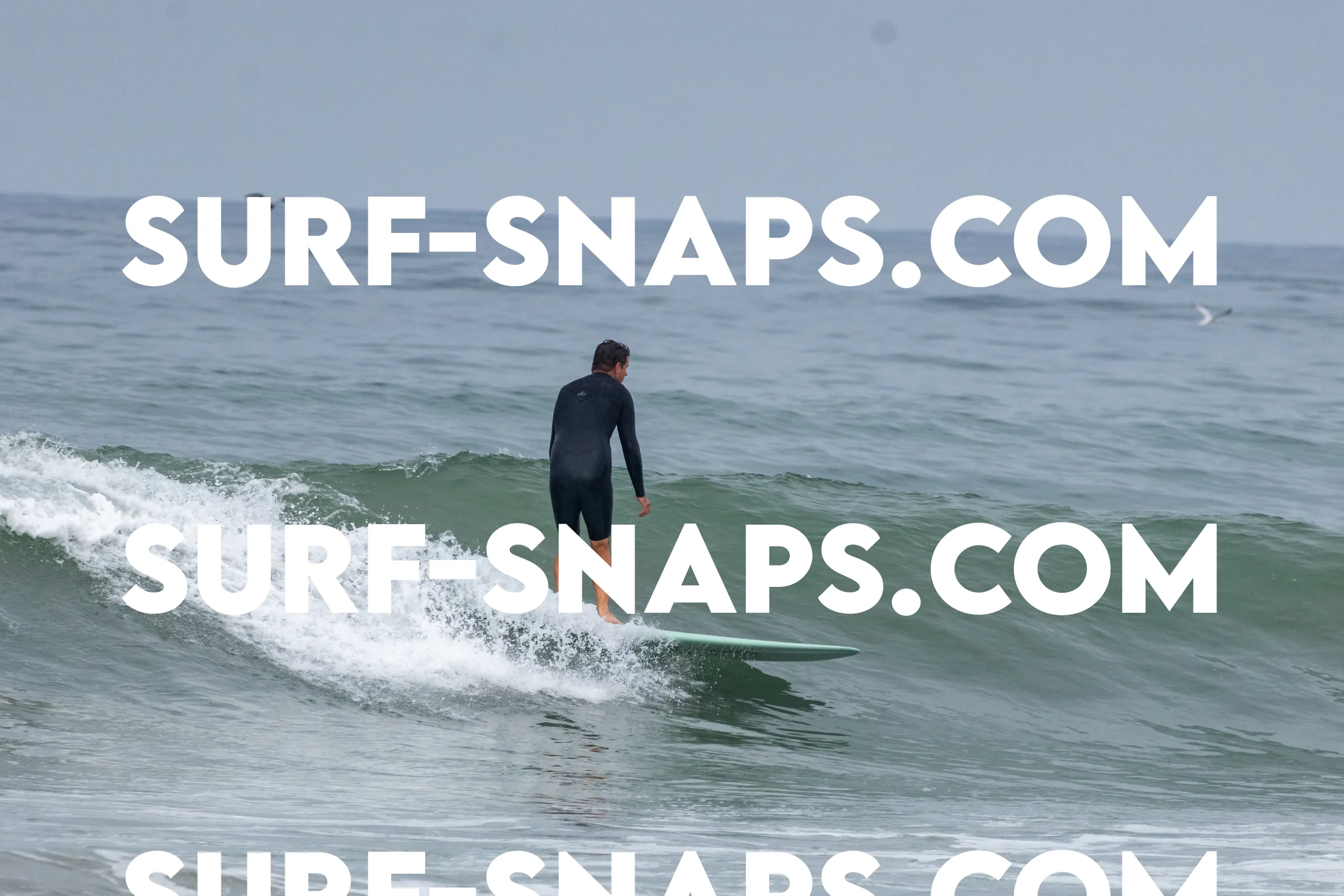 Pacific Beach photo 458