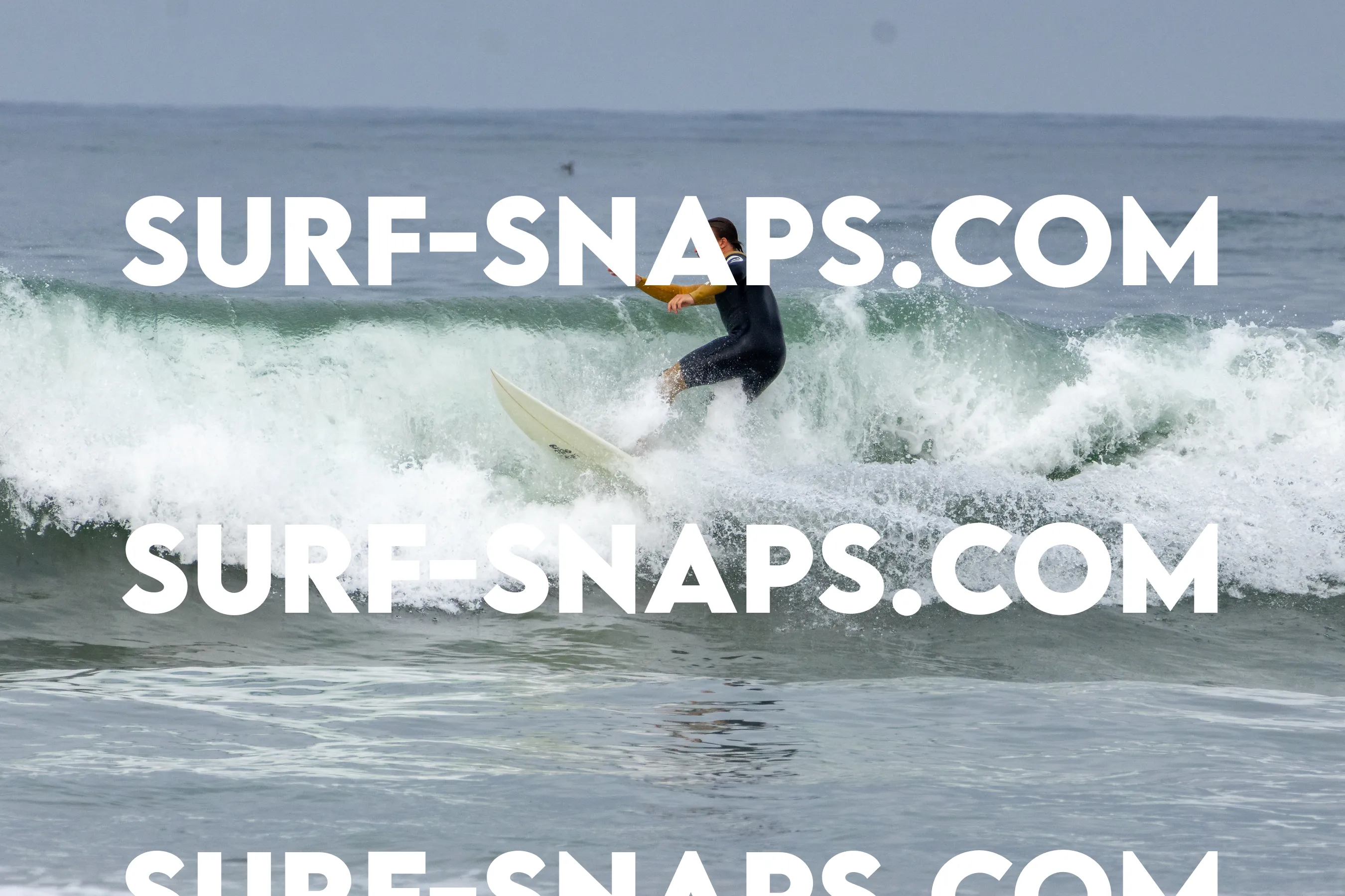 Pacific Beach photo 442