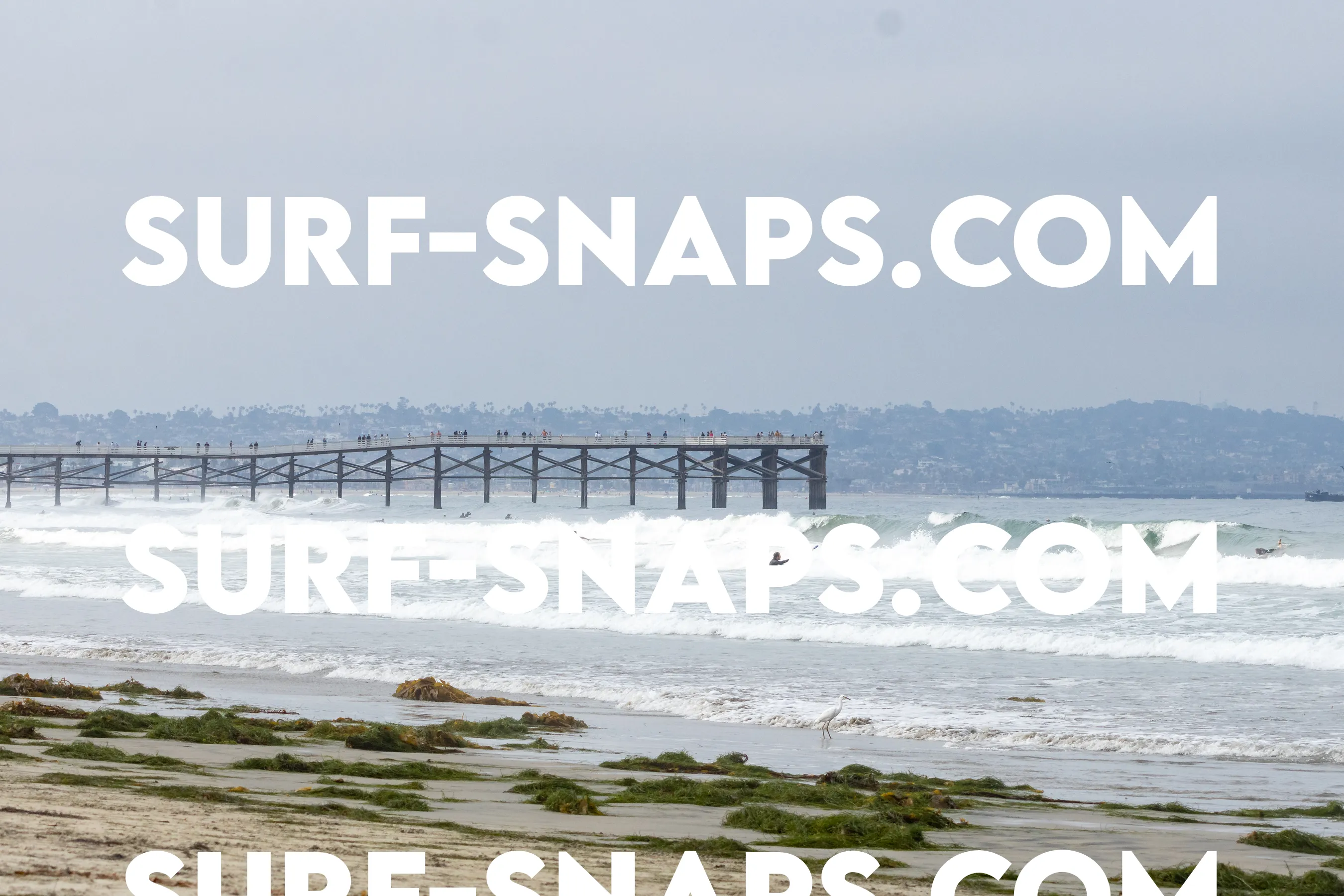 Pacific Beach photo 127