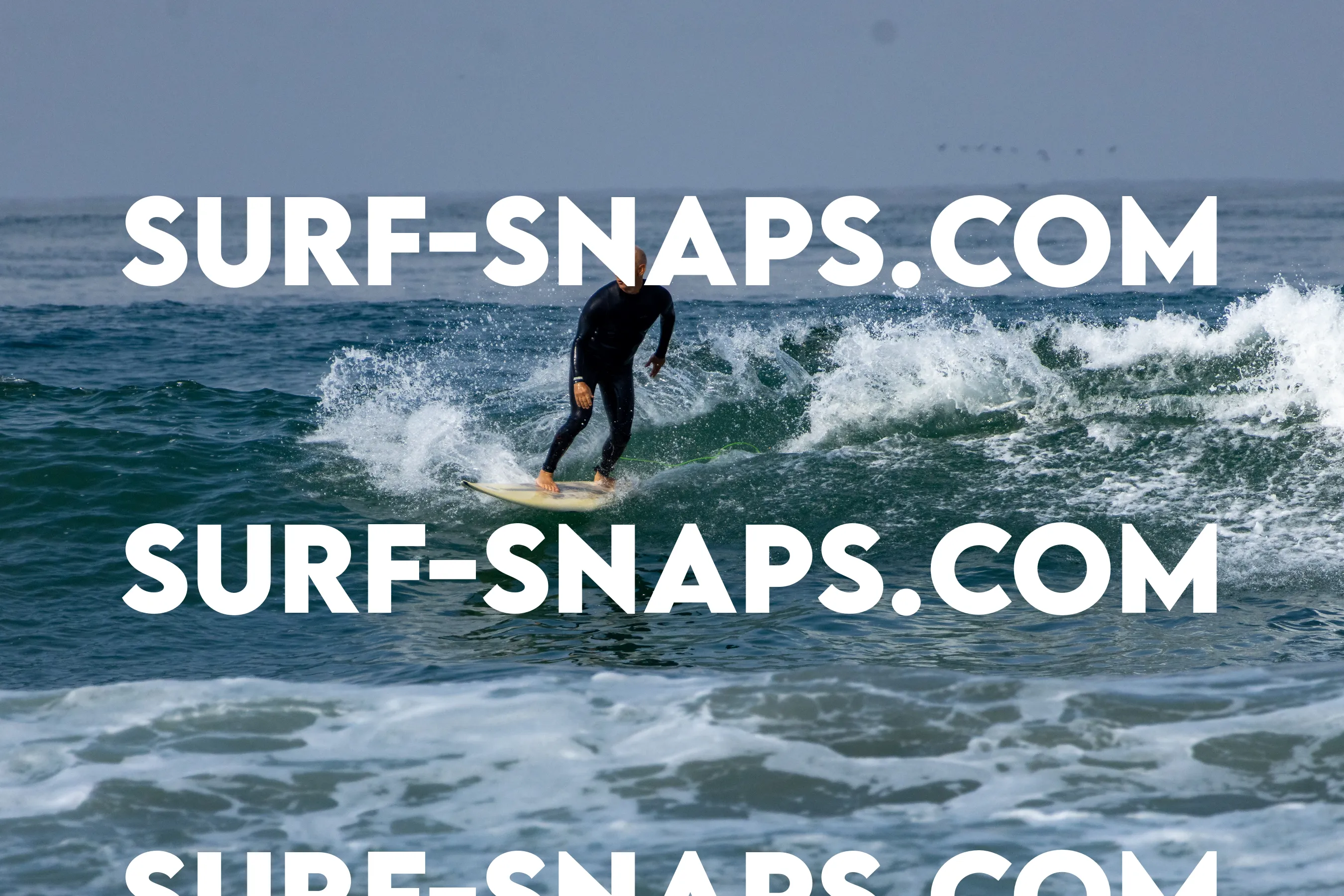 Pacific Beach photo 489