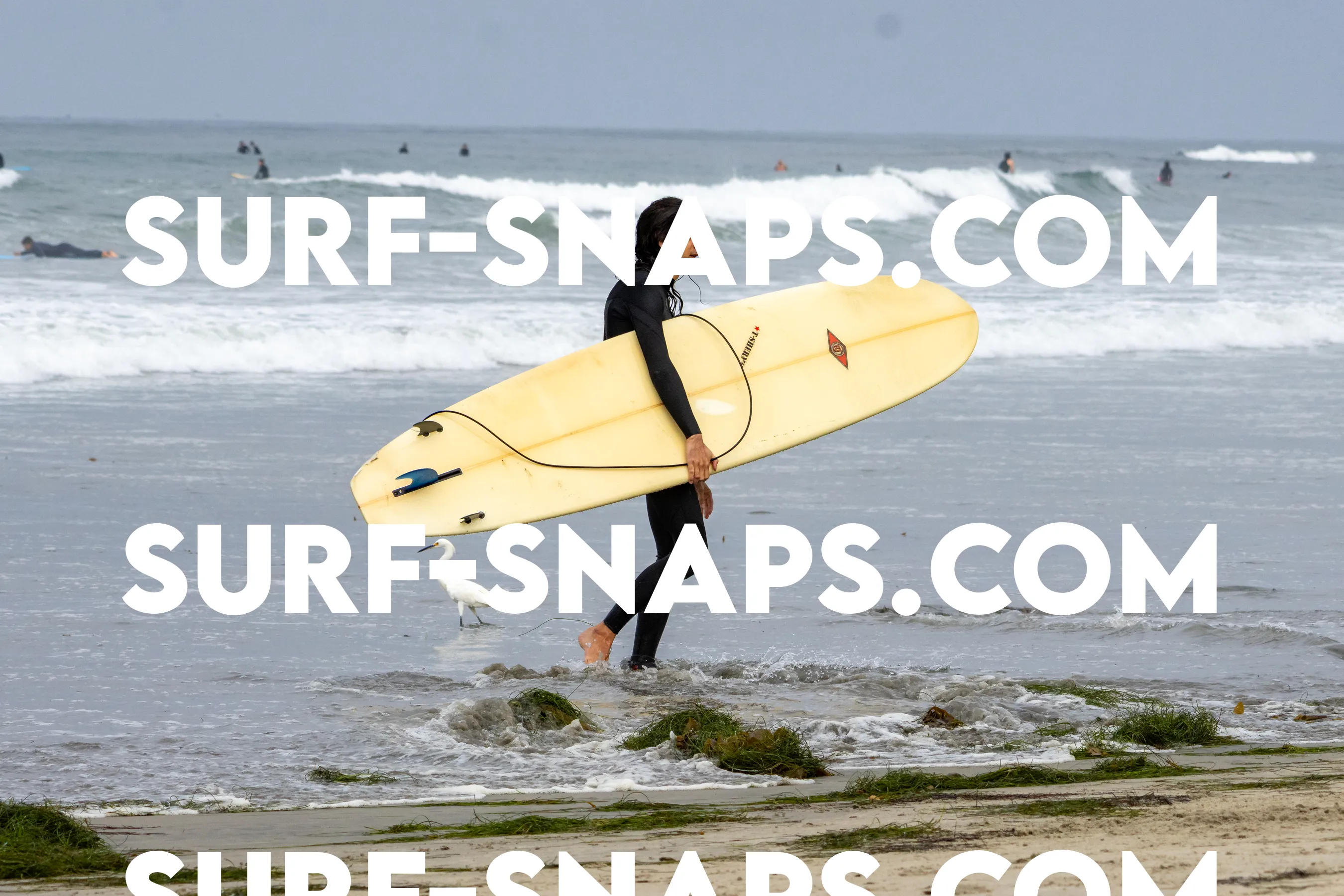 Pacific Beach photo 361