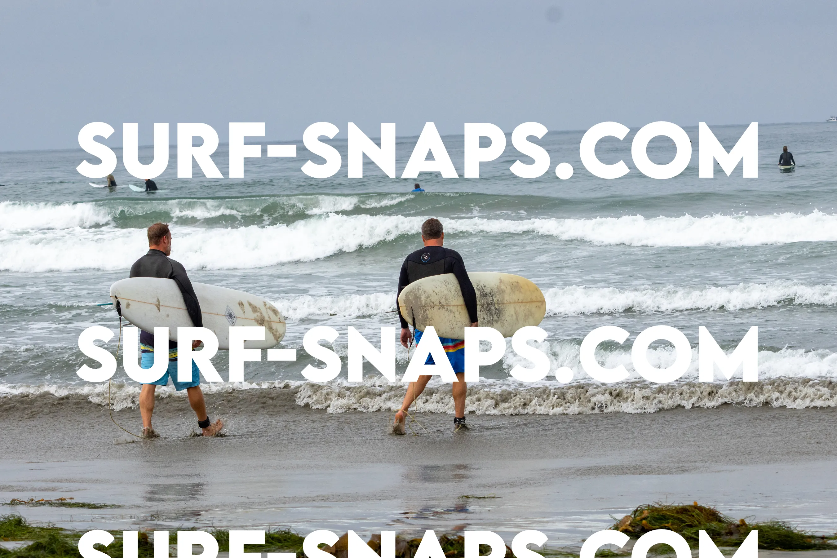 Pacific Beach photo 363