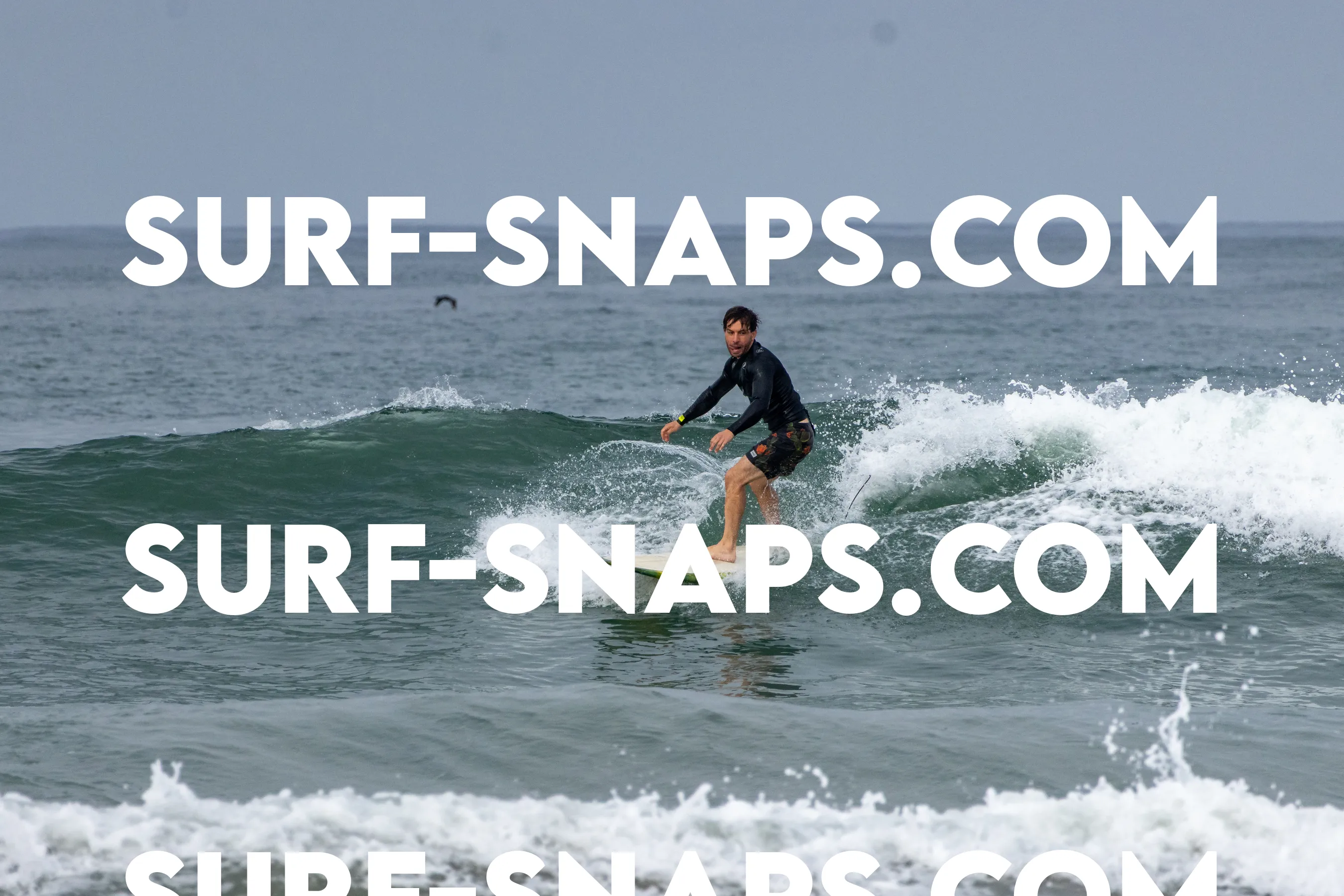 Pacific Beach photo 443