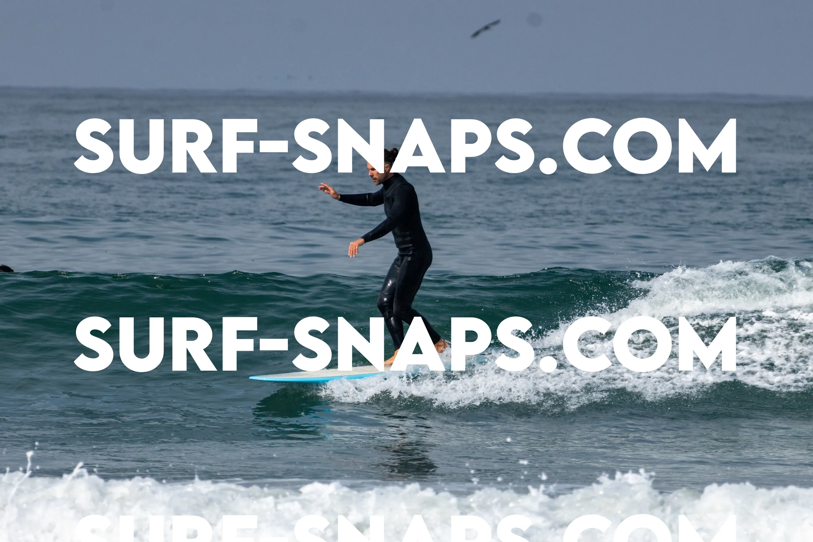 Pacific Beach photo 77