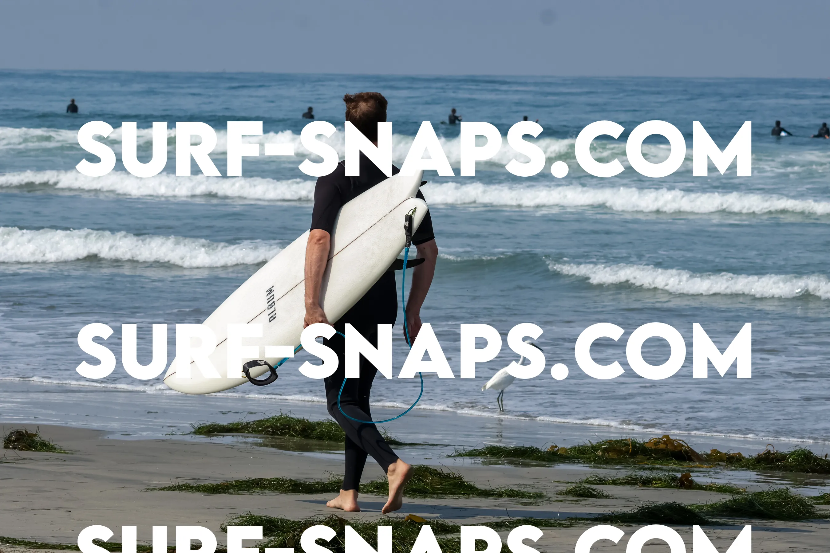 Pacific Beach photo 266