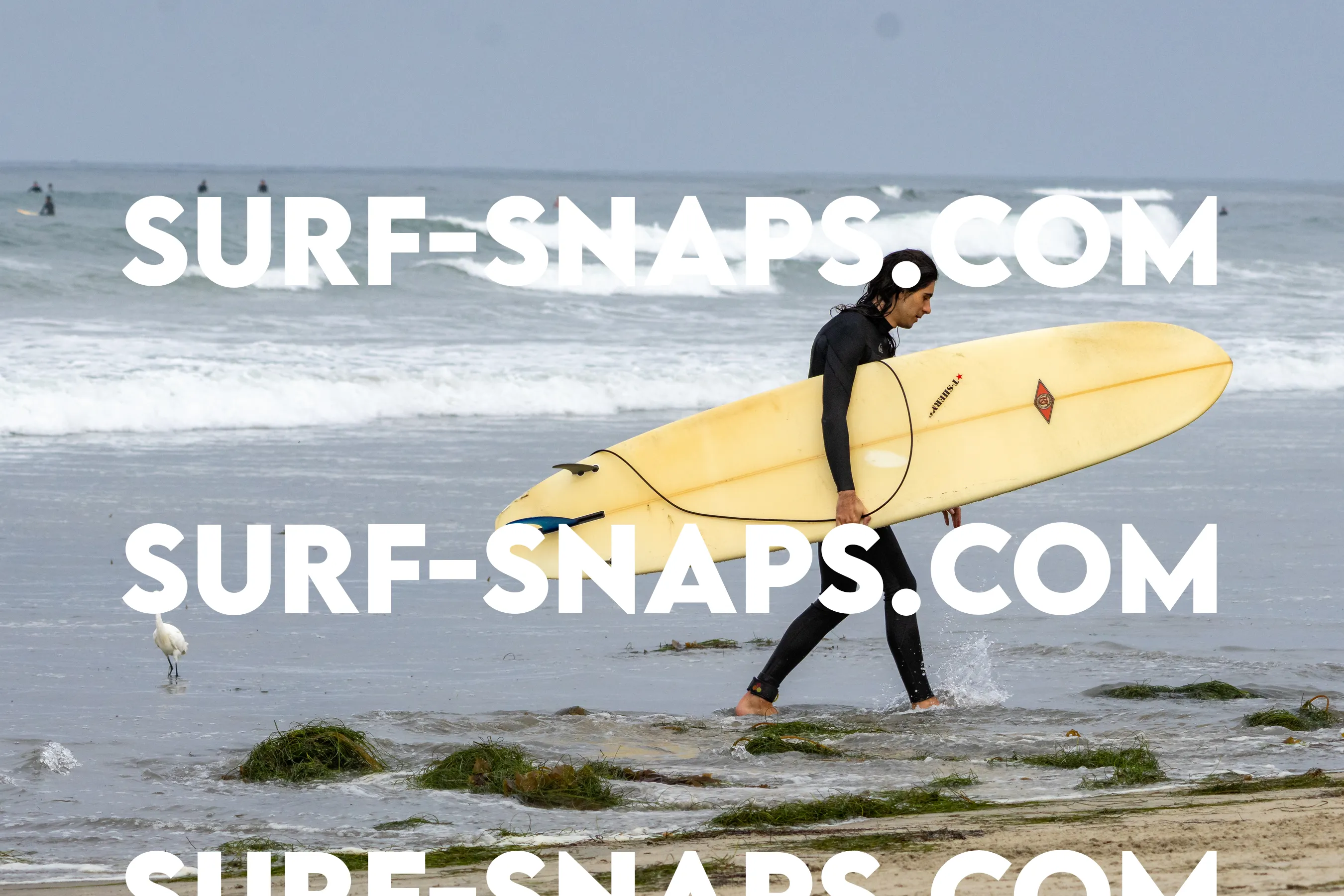 Pacific Beach photo 189