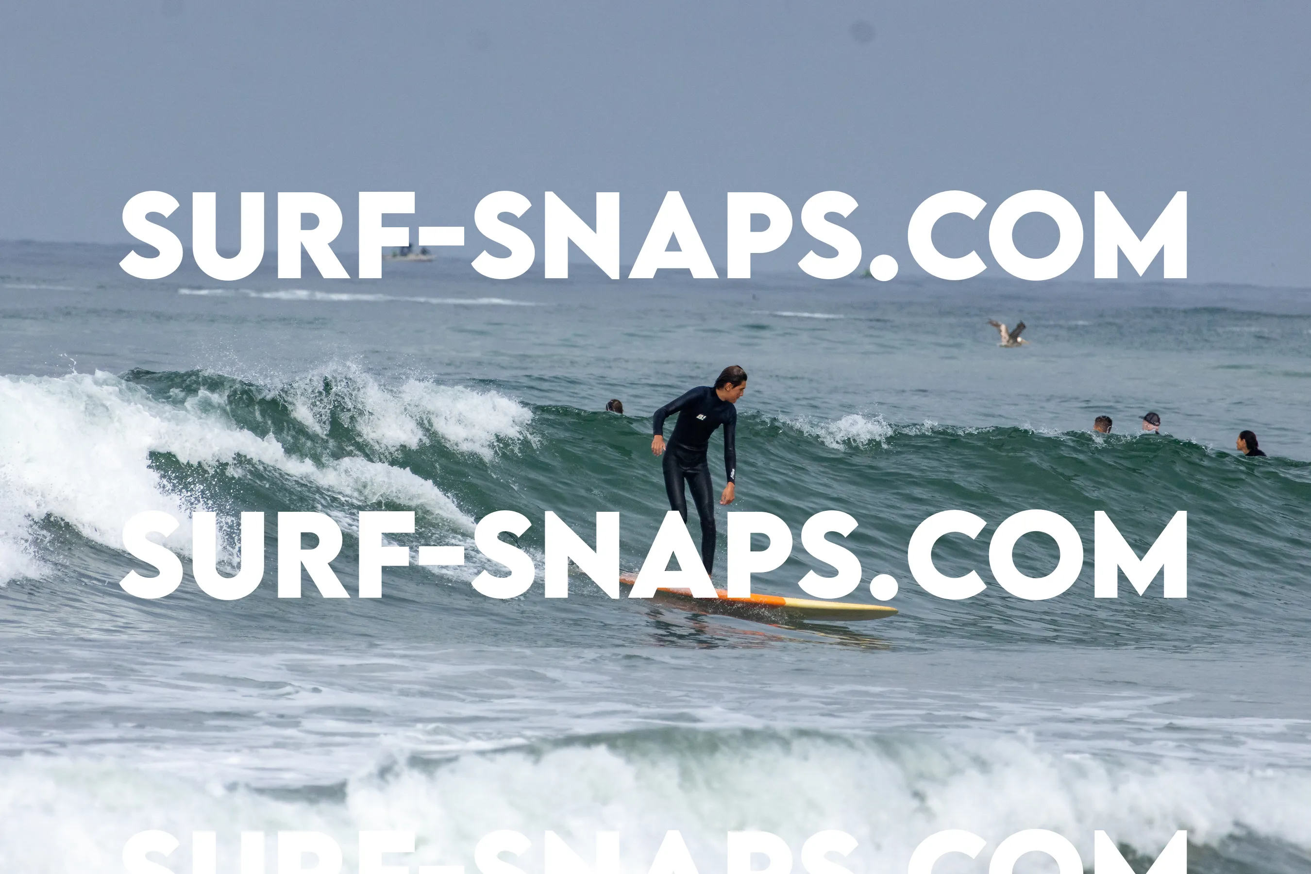 Pacific Beach photo 289