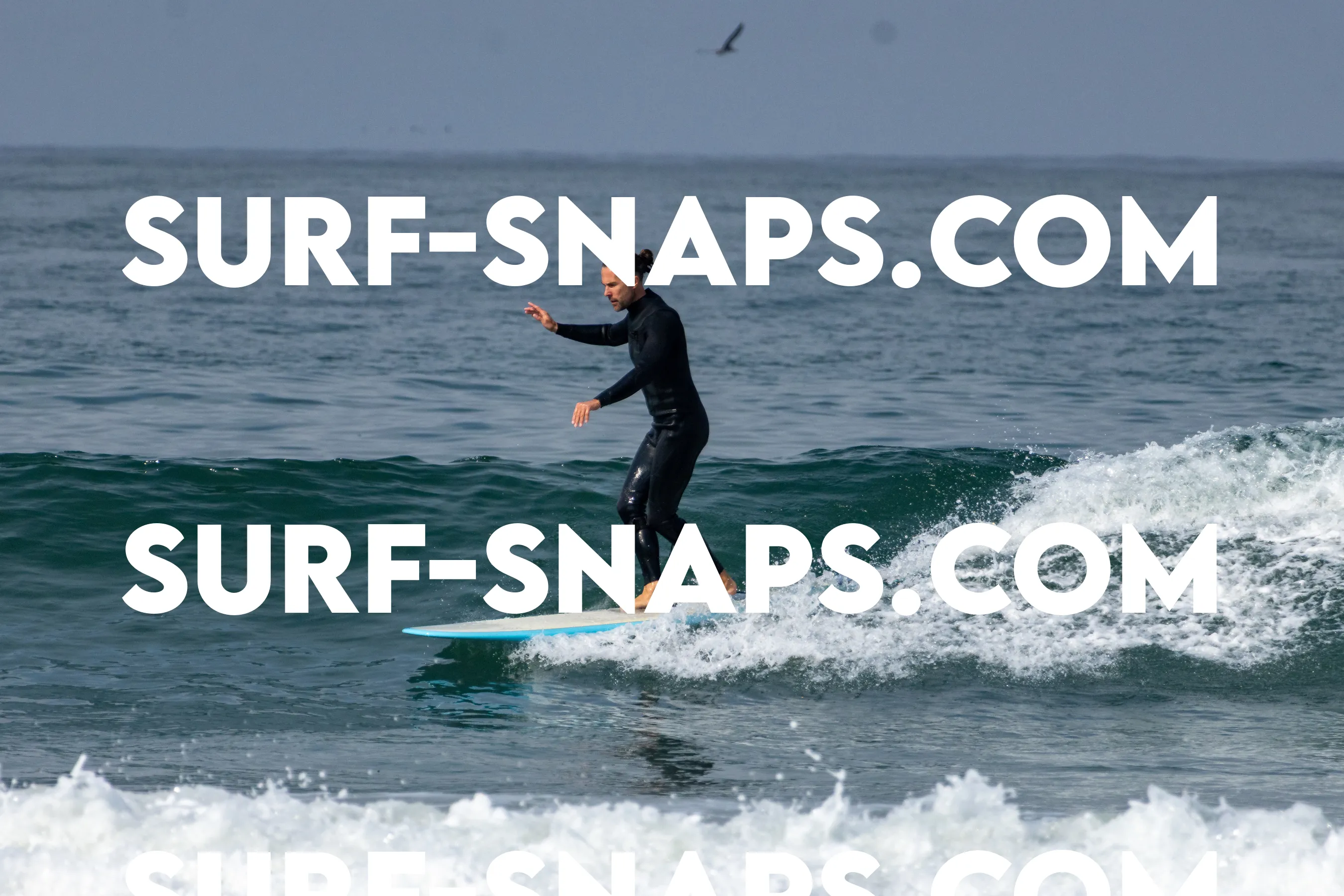 Pacific Beach photo 411