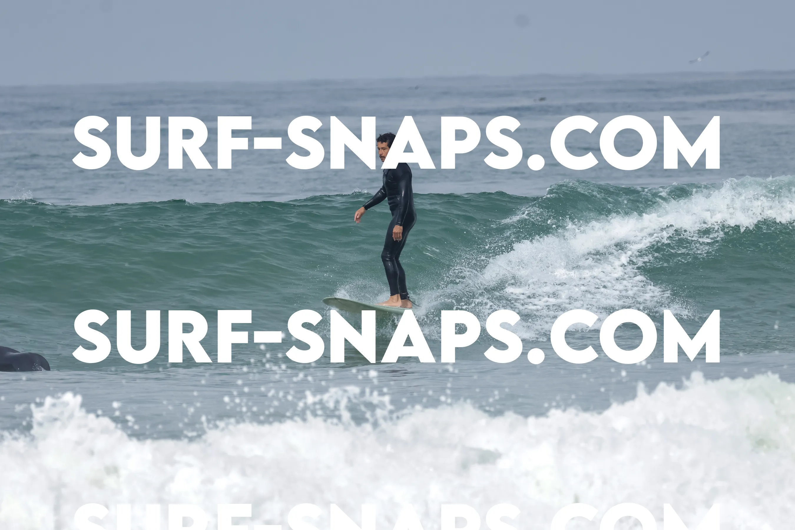 Pacific Beach photo 111