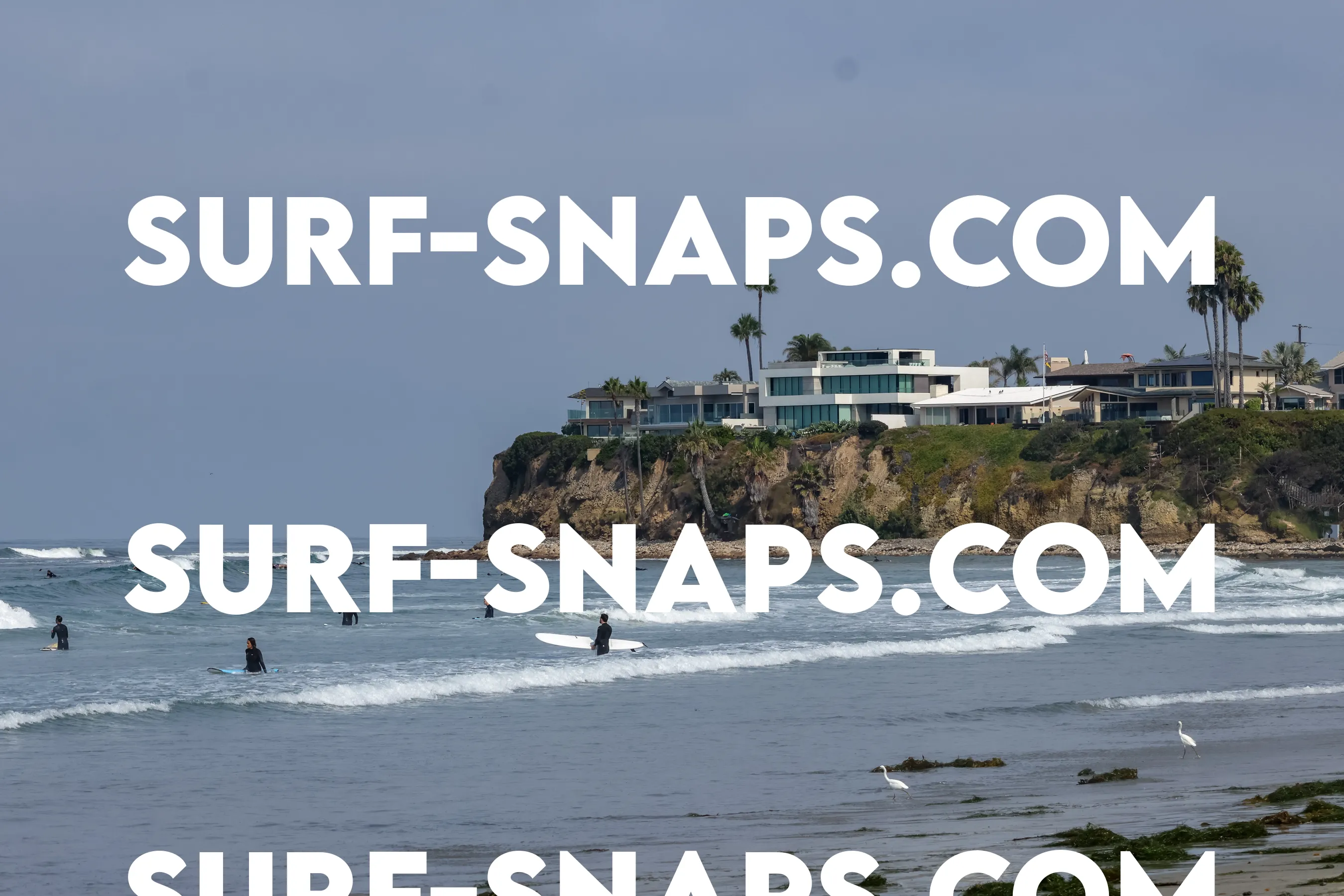 Pacific Beach photo 433
