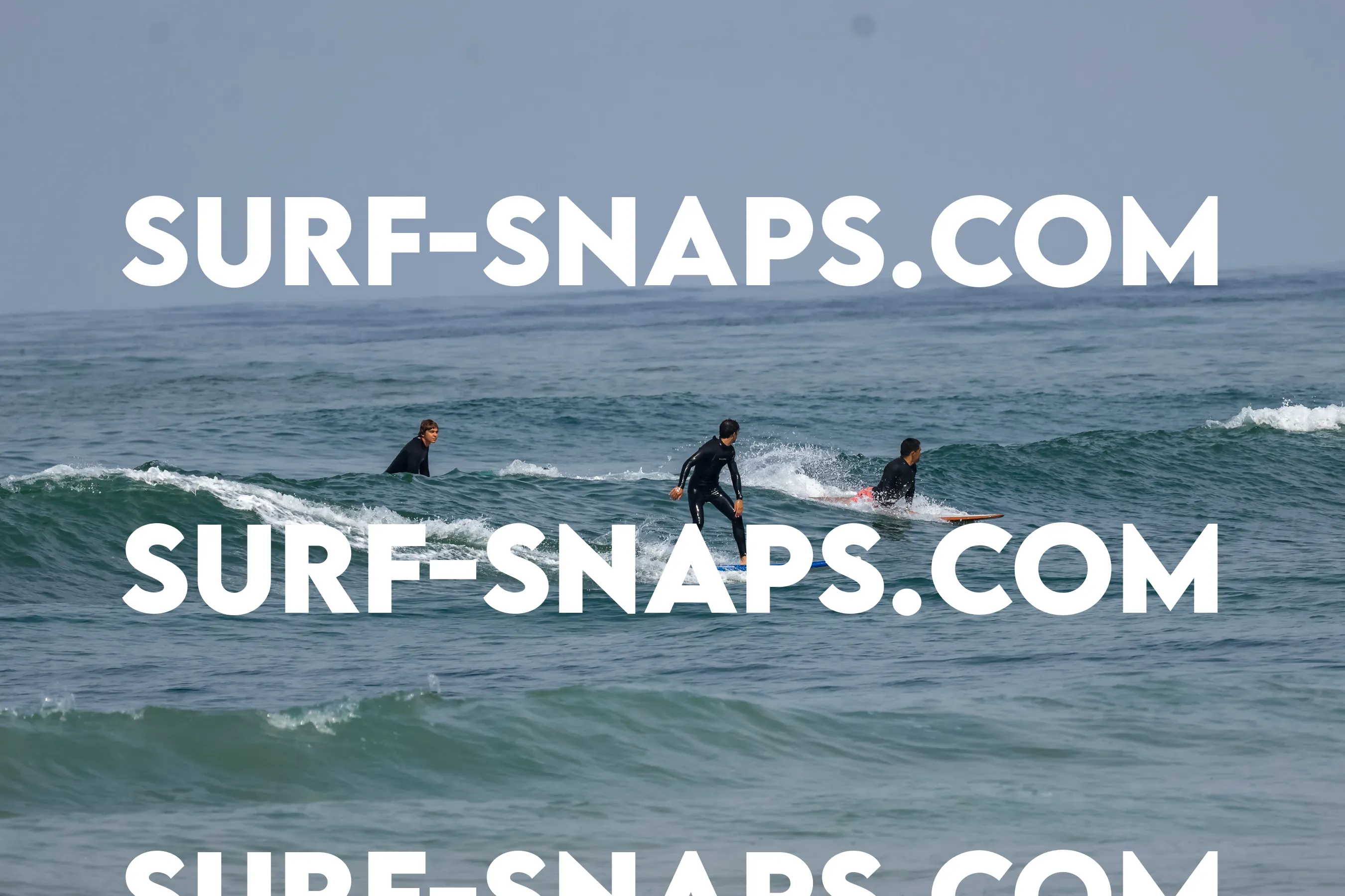 Pacific Beach photo 444