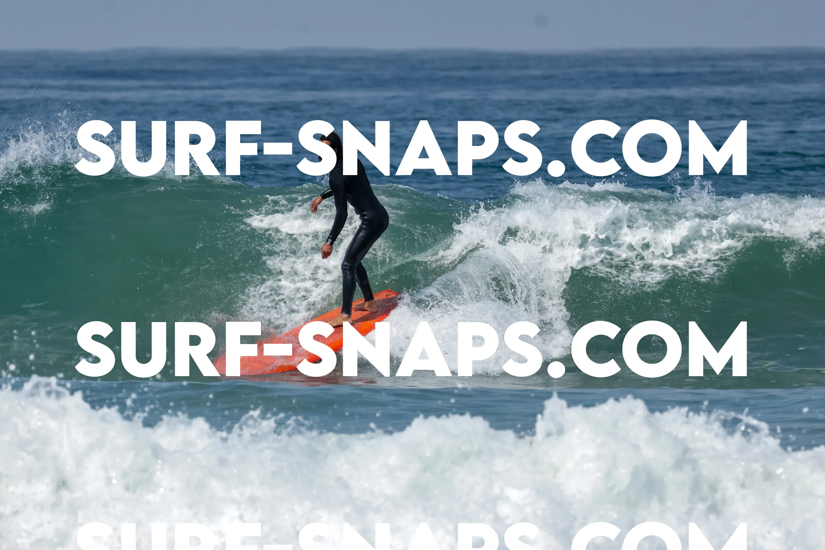 Pacific Beach photo 474