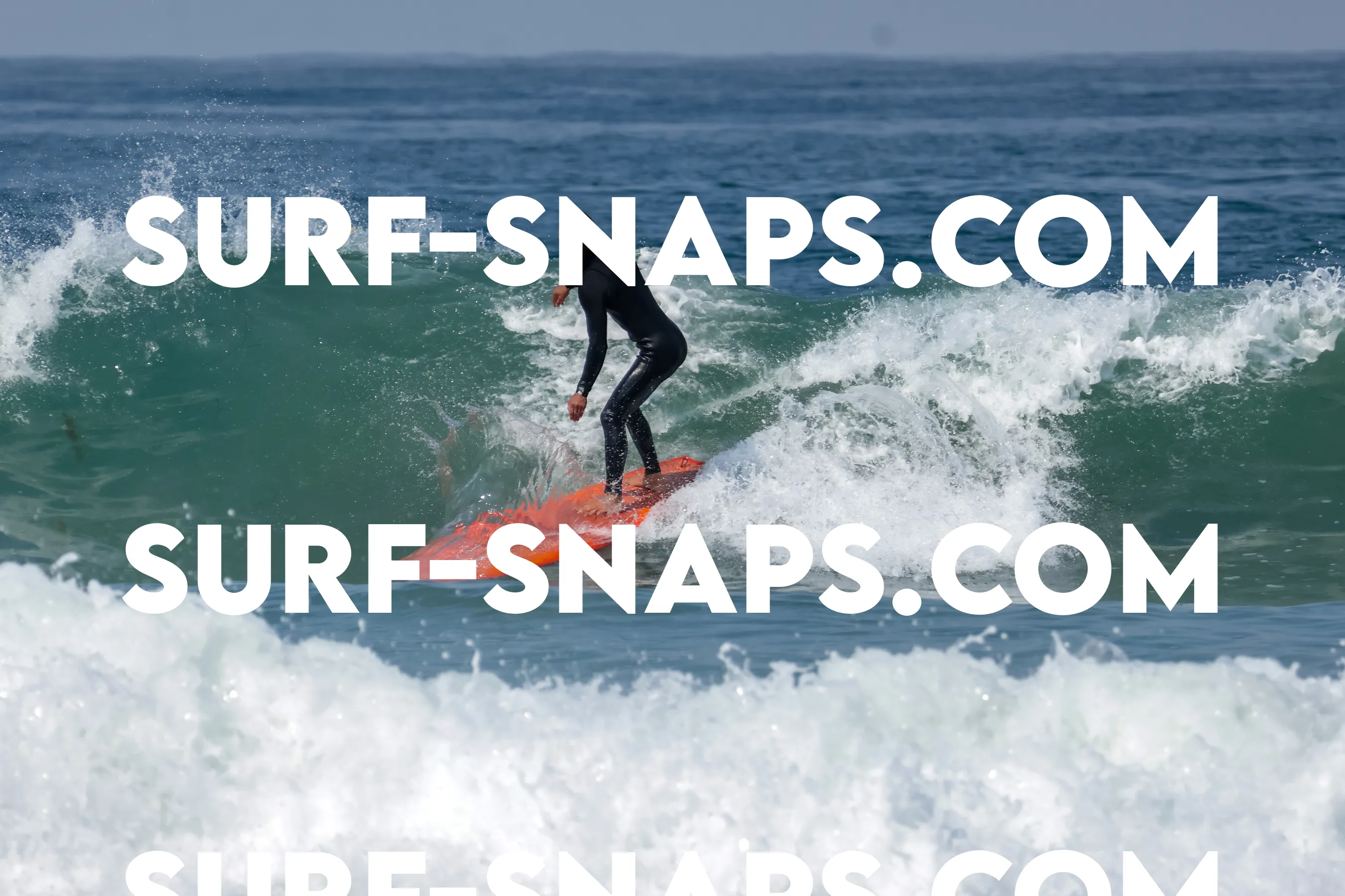 Pacific Beach photo 475