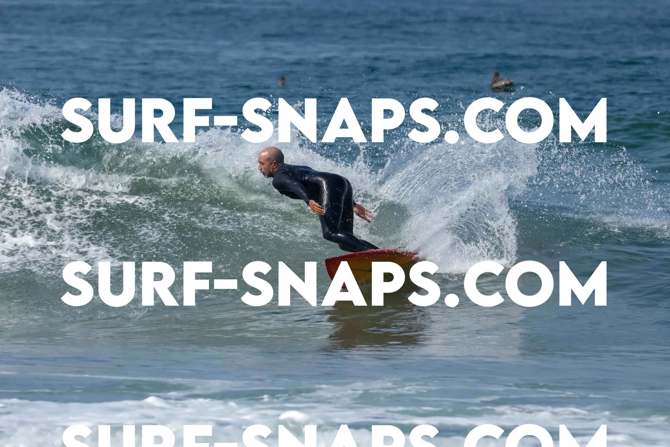 Pacific Beach photo 478