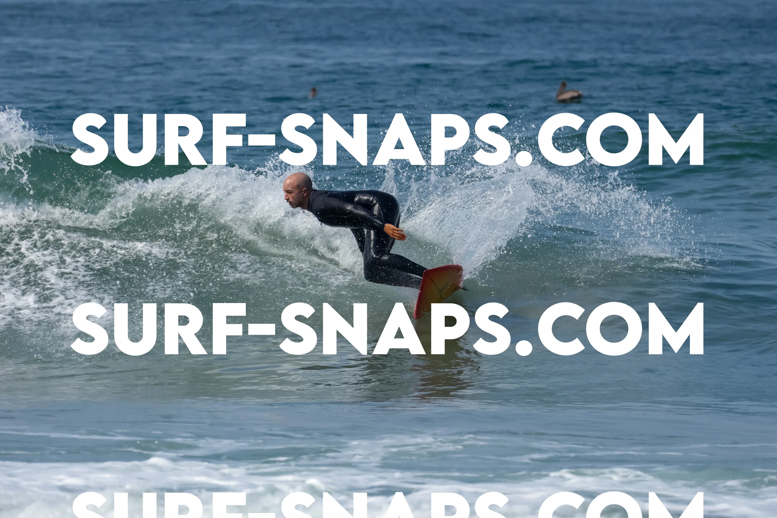 Pacific Beach photo 486