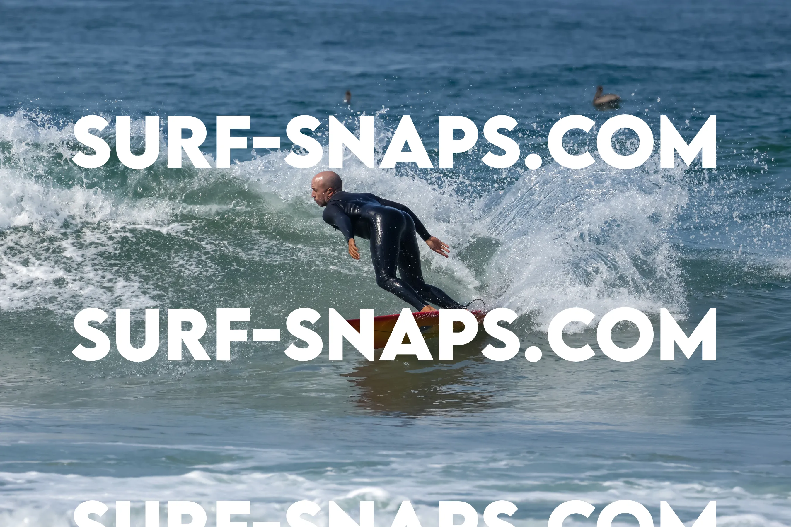 Pacific Beach photo 480