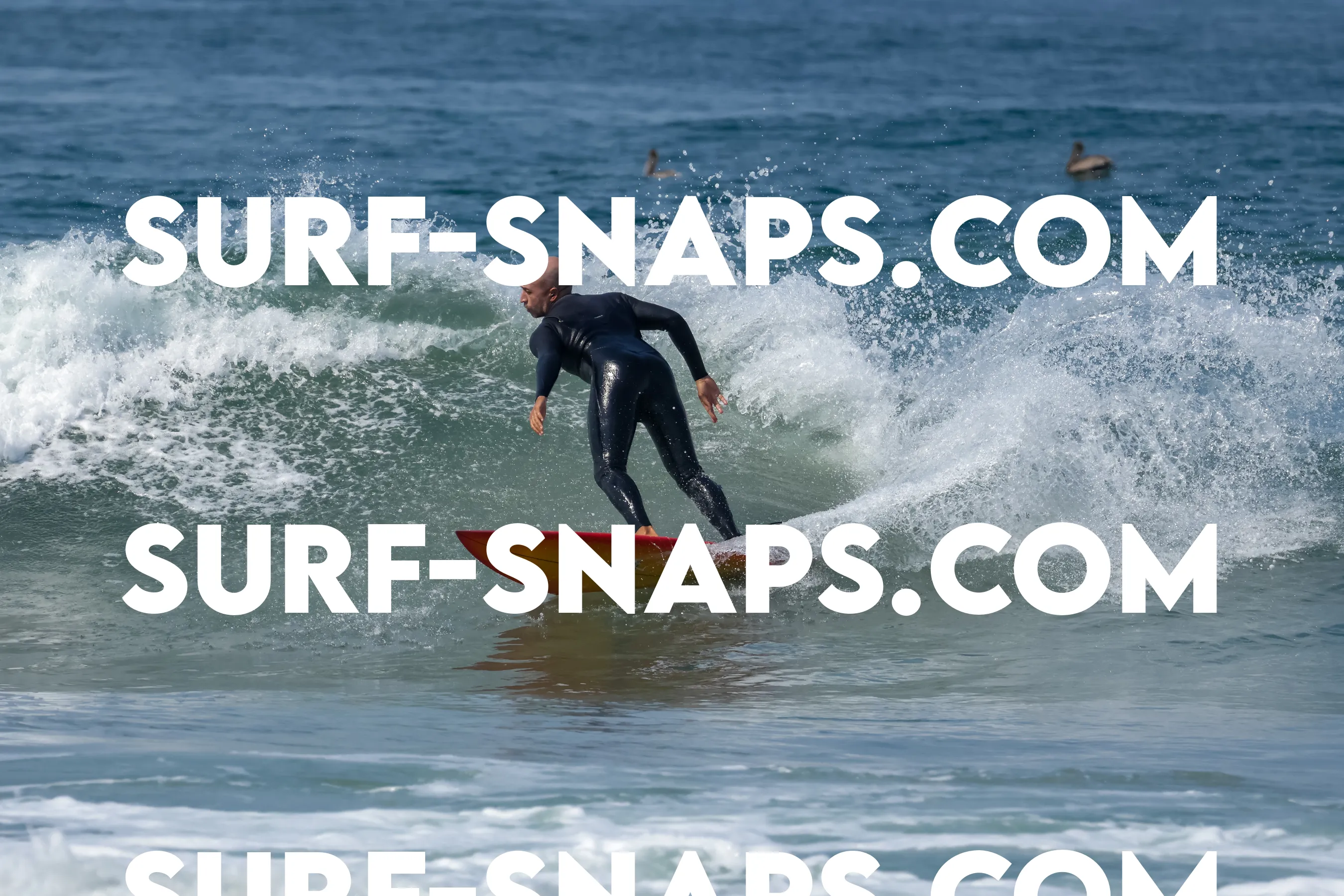 Pacific Beach photo 487