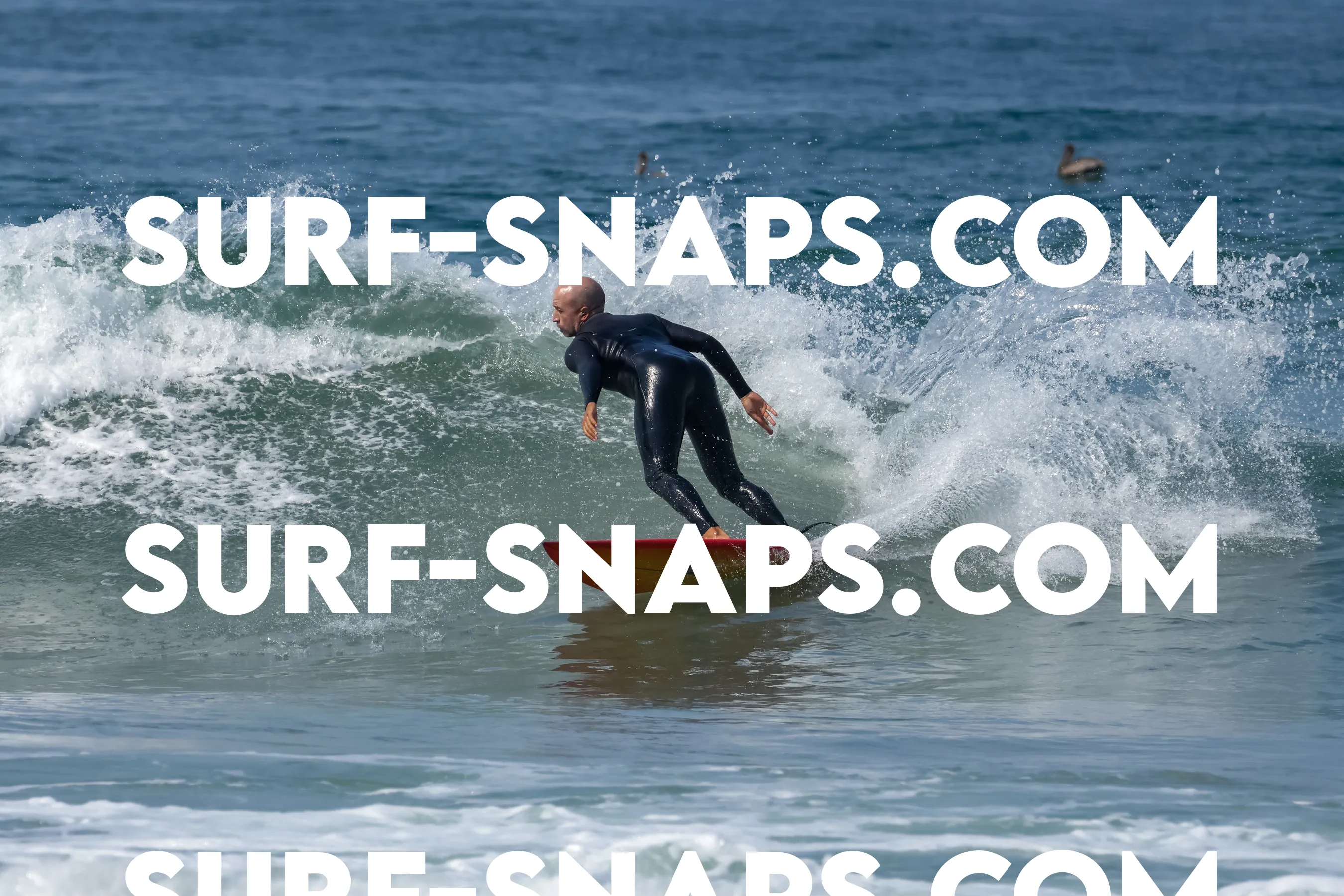 Pacific Beach photo 488