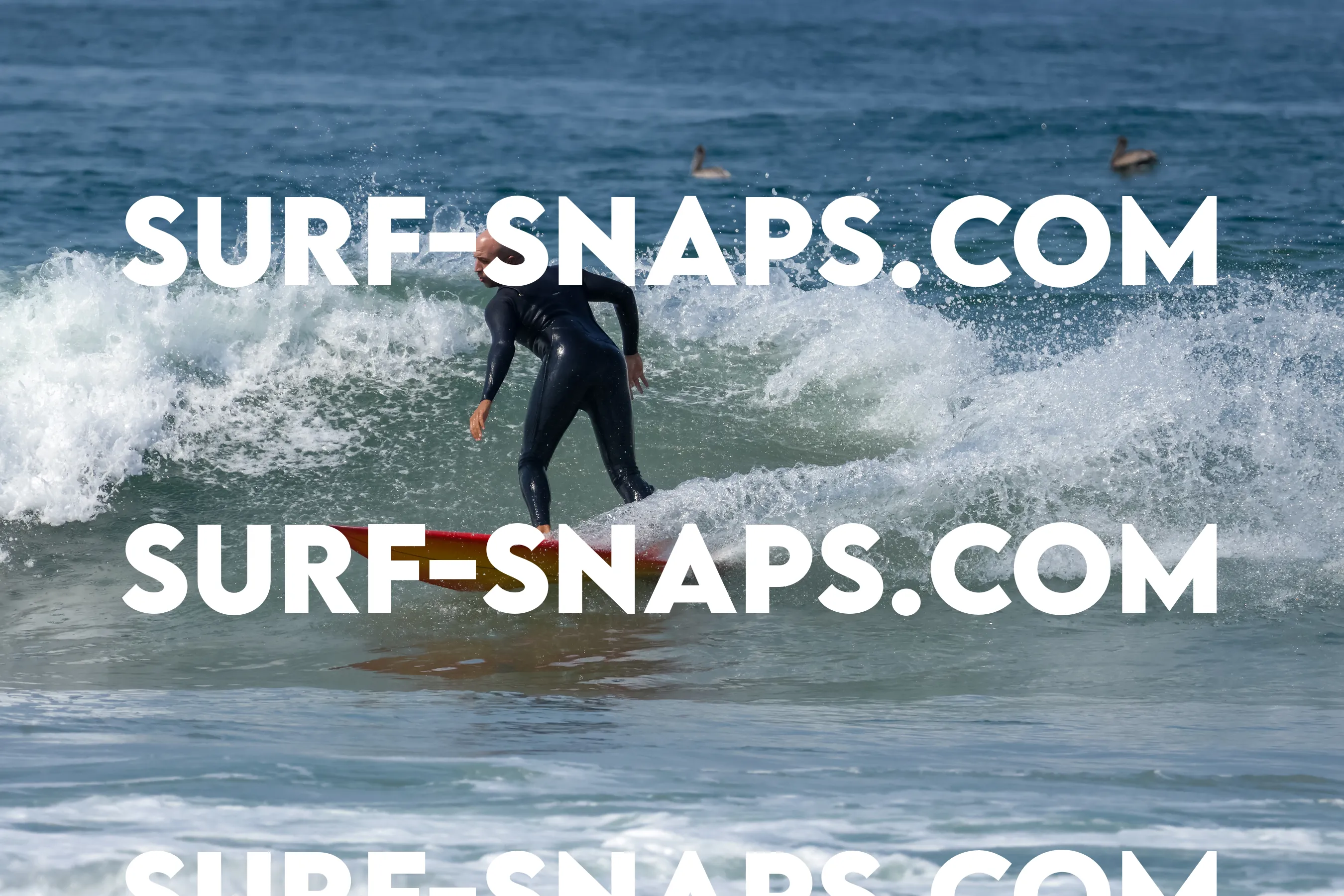Pacific Beach photo 489
