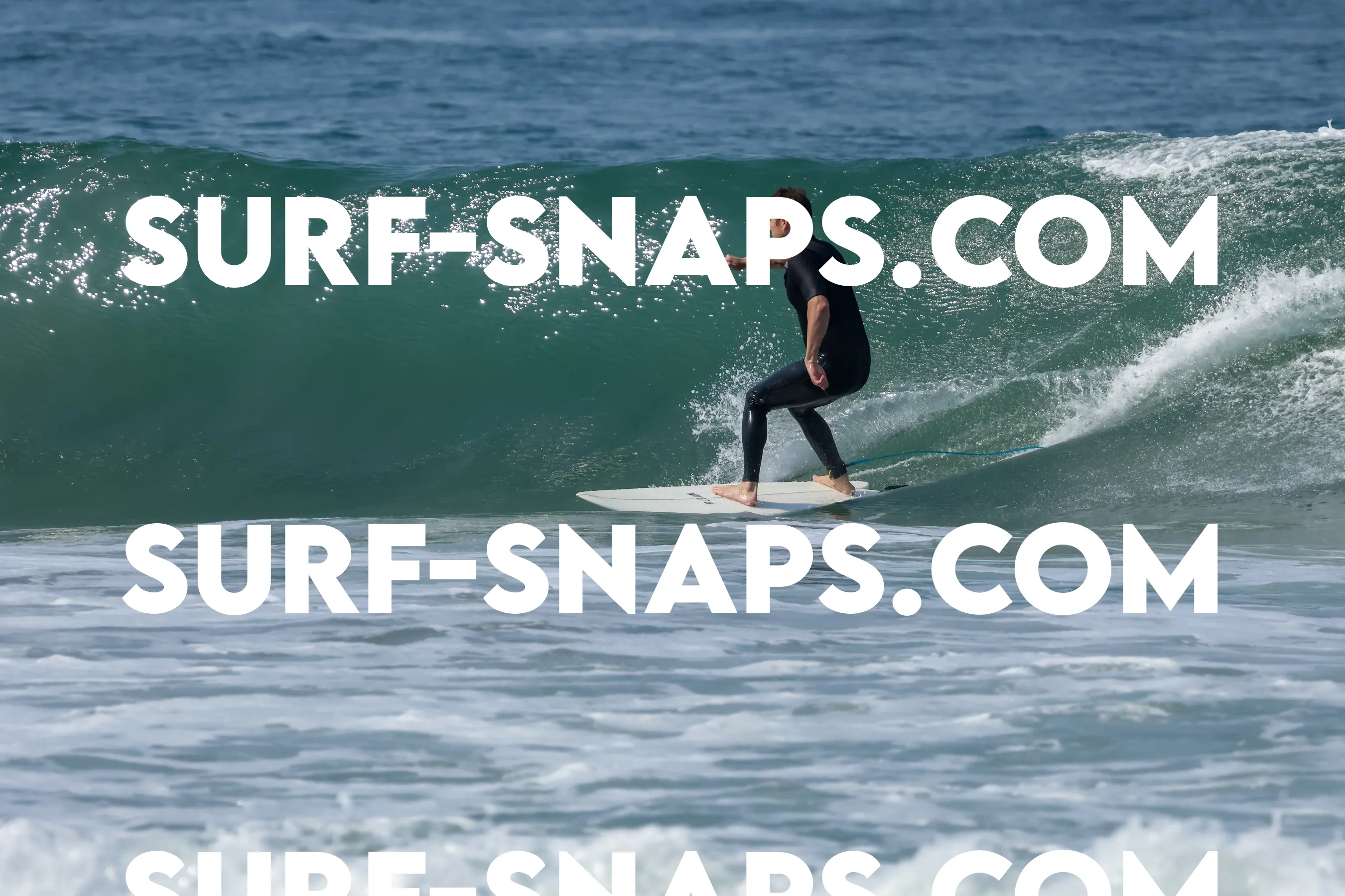 Pacific Beach photo 499