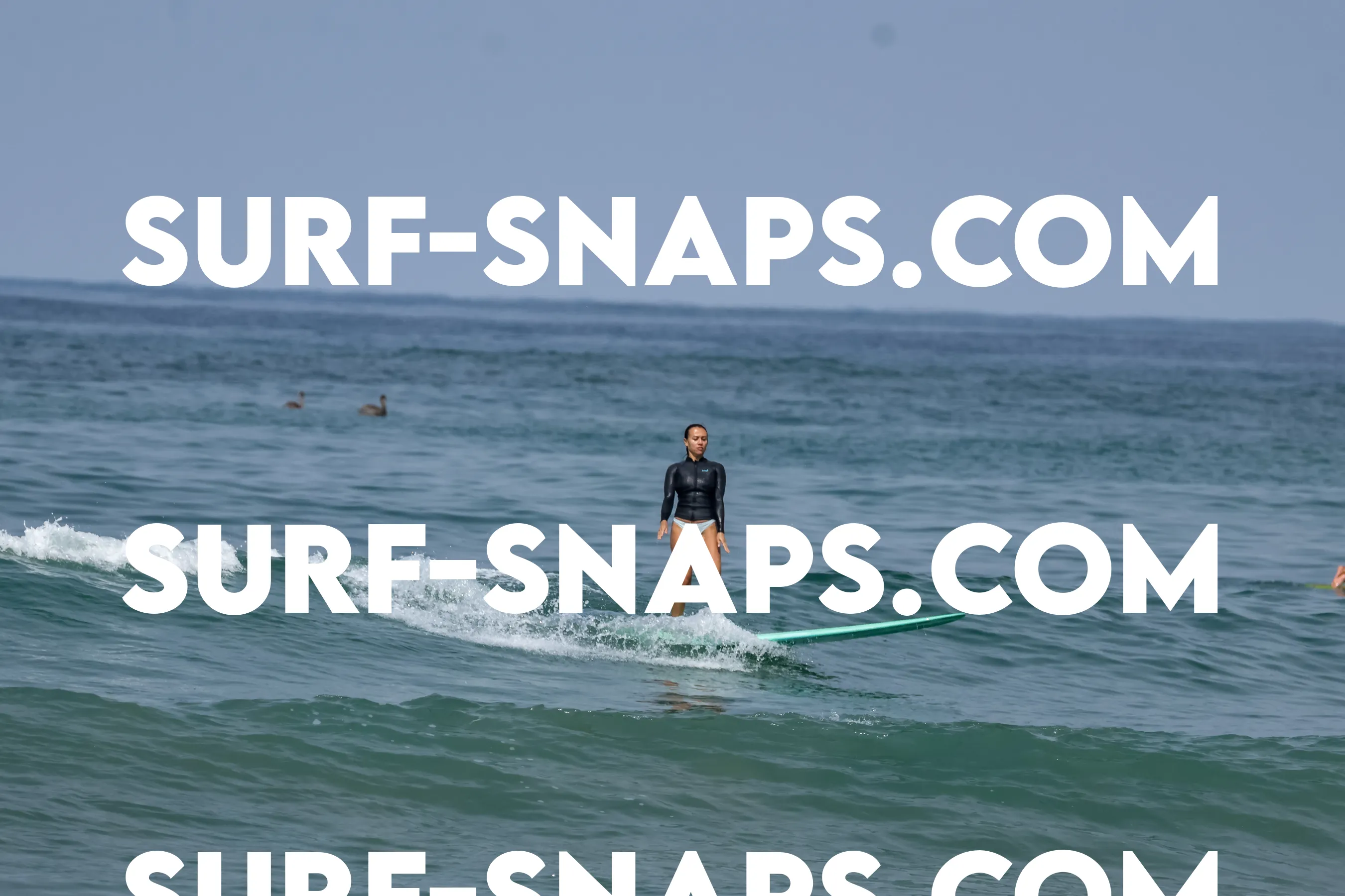 Pacific Beach photo 489