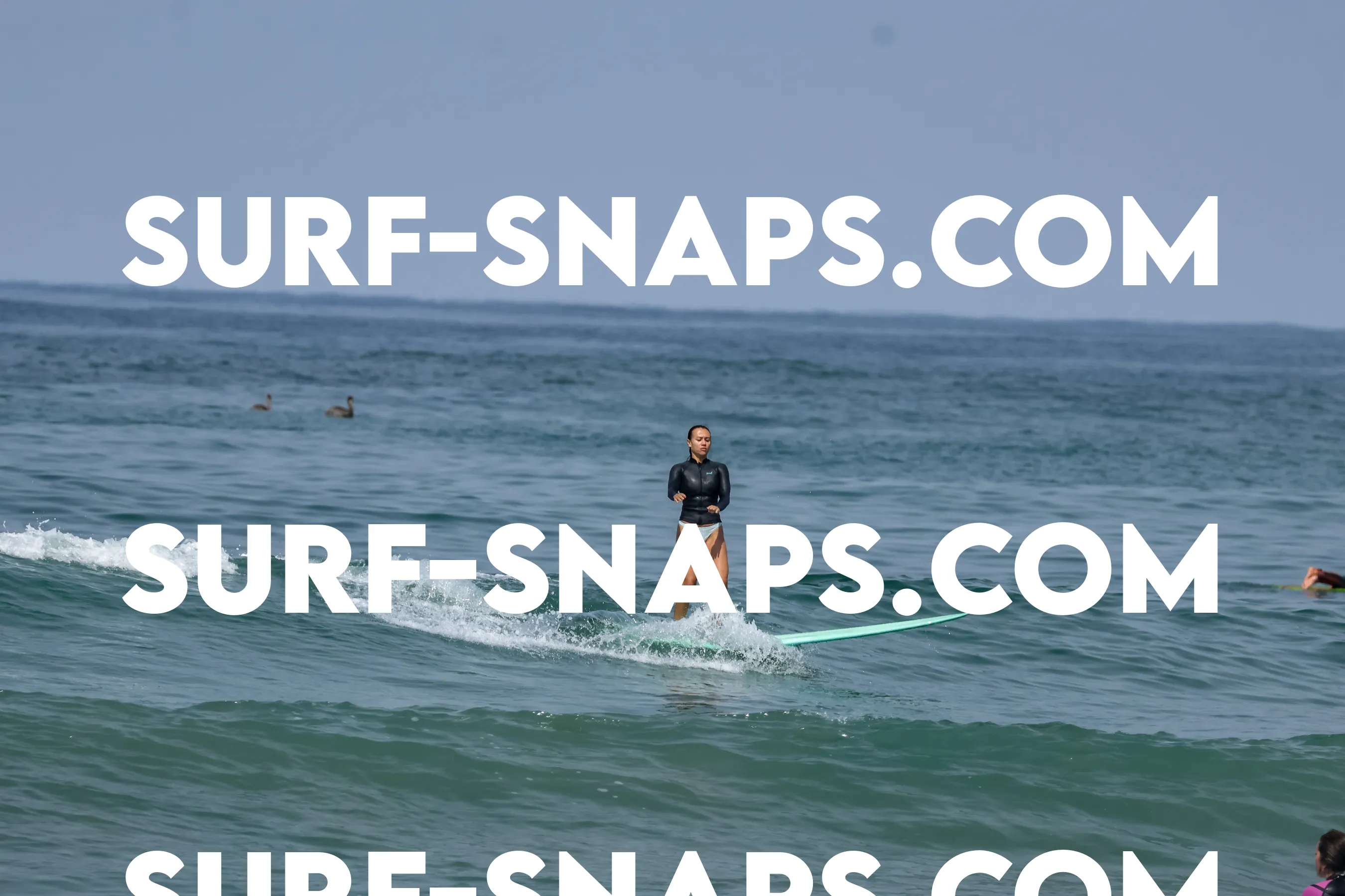 Pacific Beach photo 490