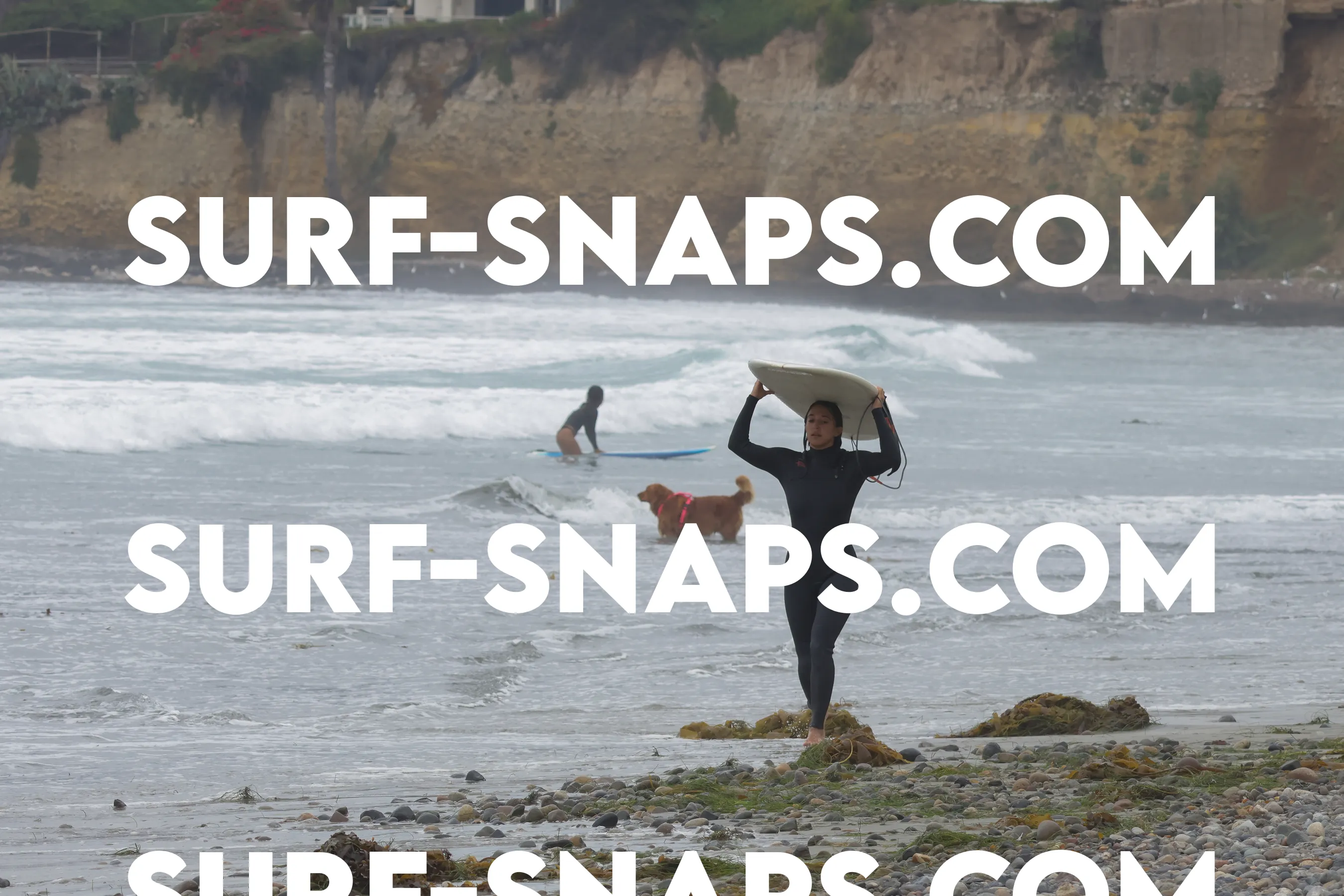 Pacific Beach photo 57