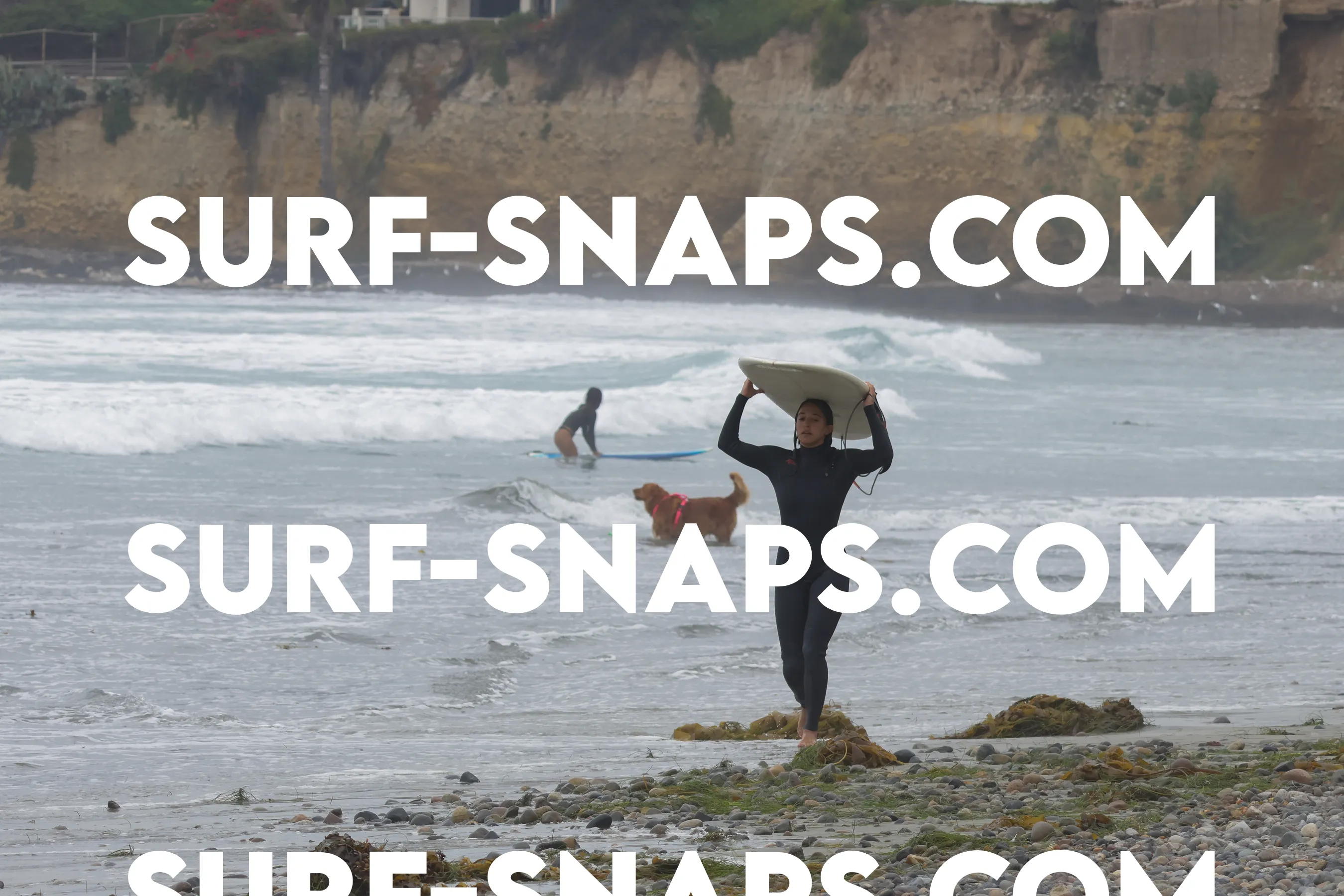 Pacific Beach photo 58