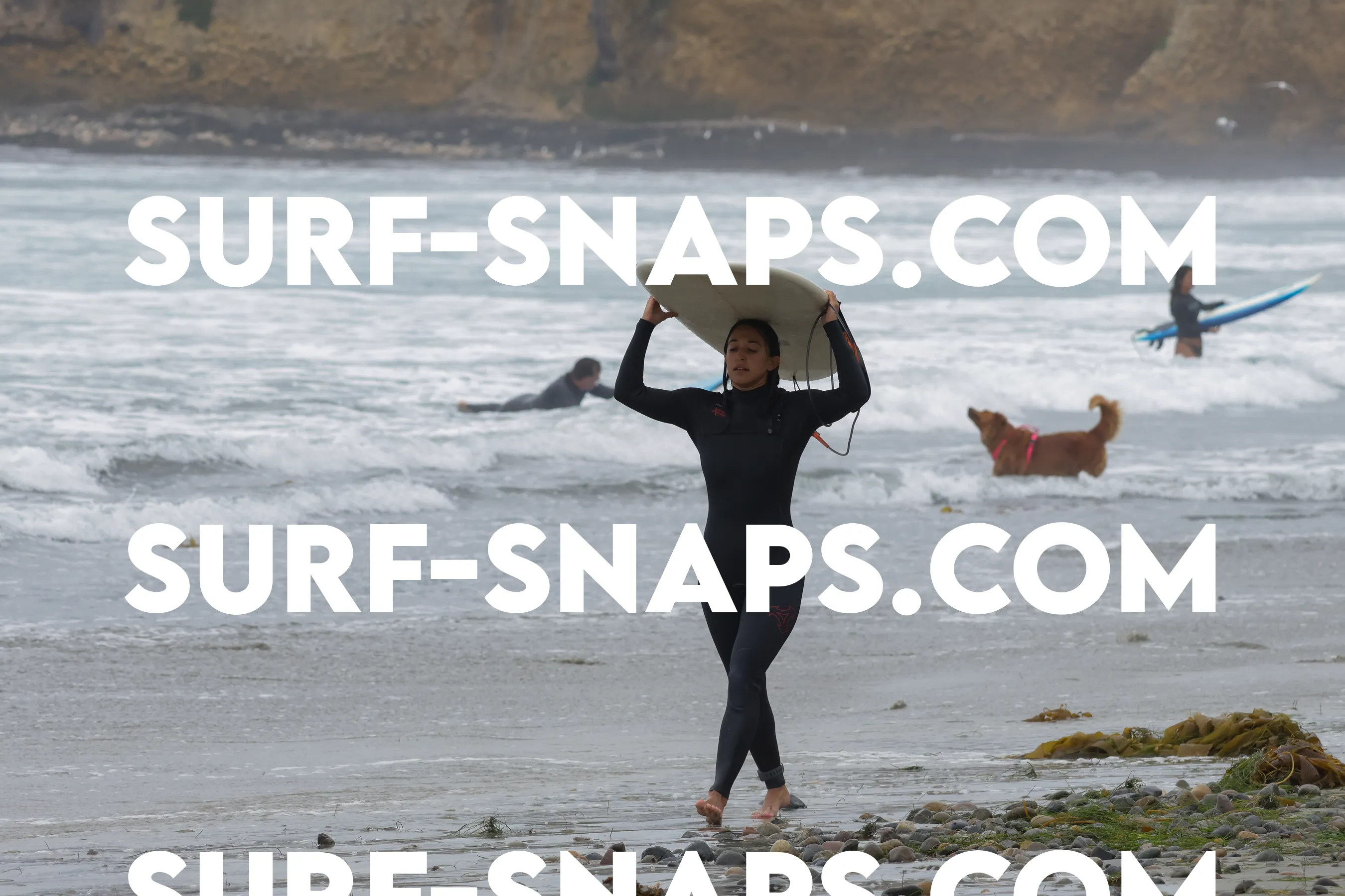 Pacific Beach photo 77
