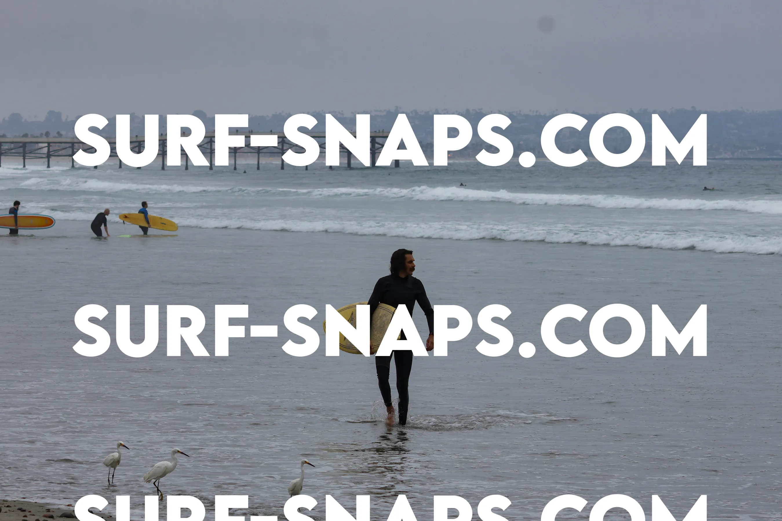 Pacific Beach photo 136