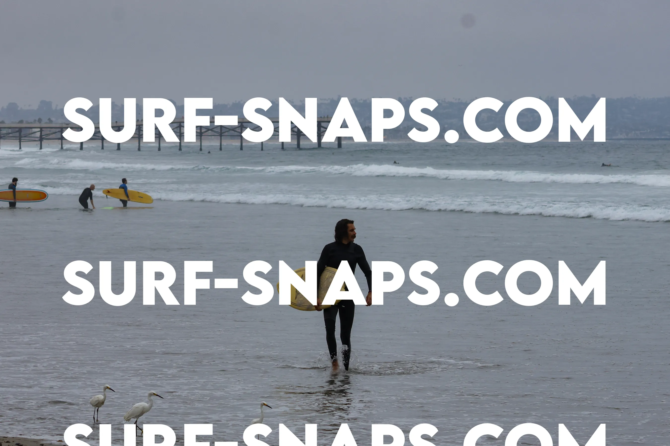 Pacific Beach photo 137