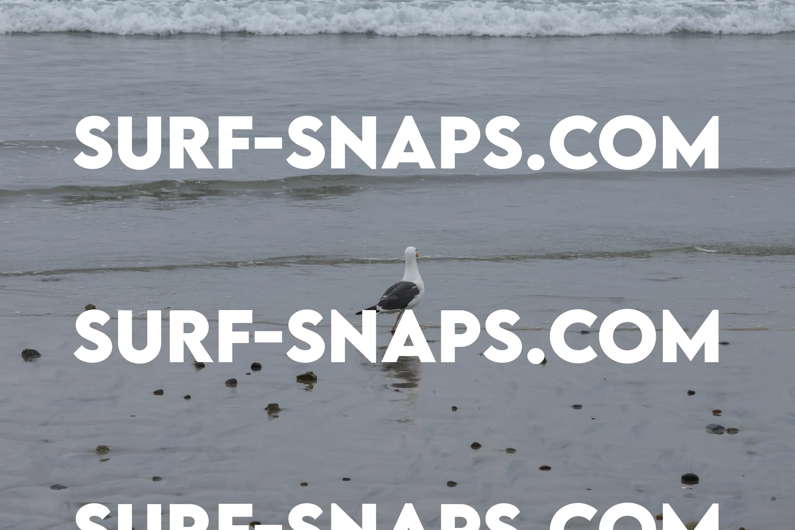 Pacific Beach photo 144