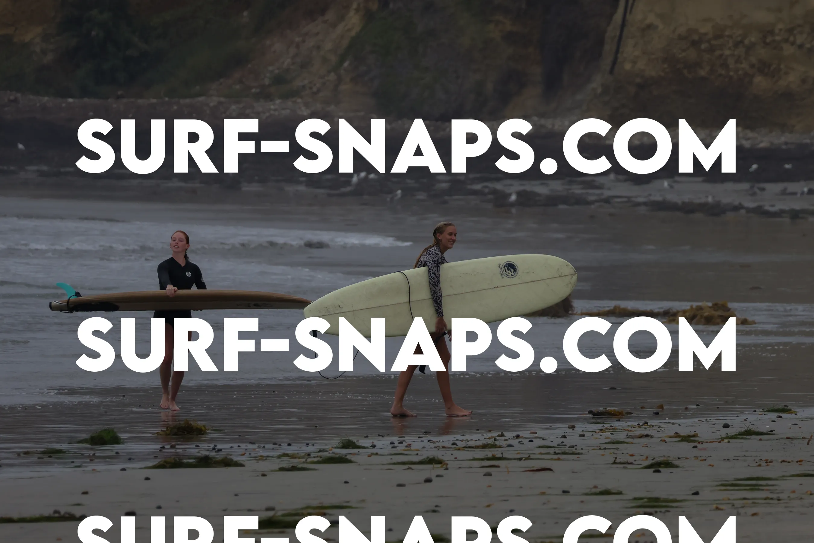 Pacific Beach photo 440