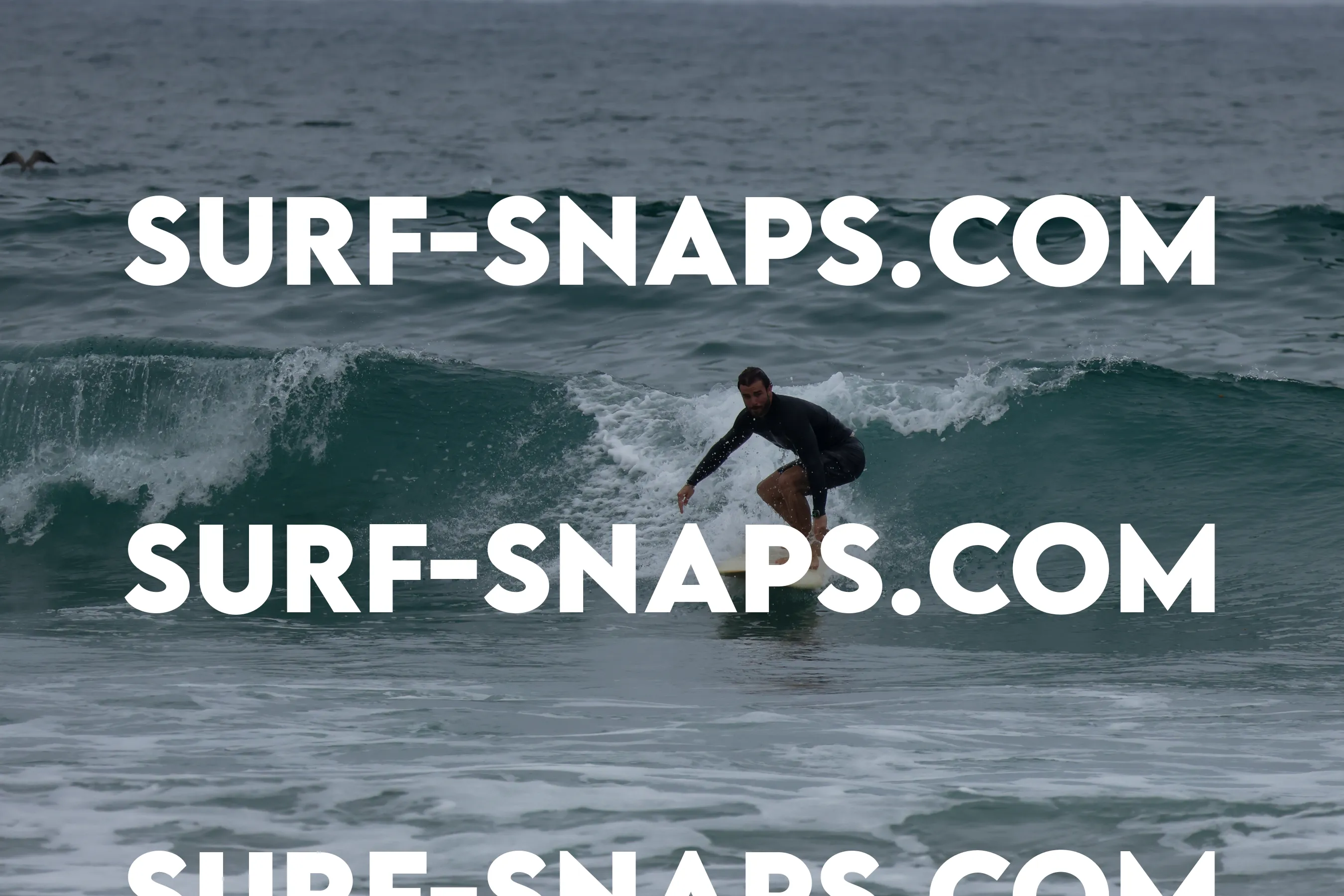 Pacific Beach photo 26