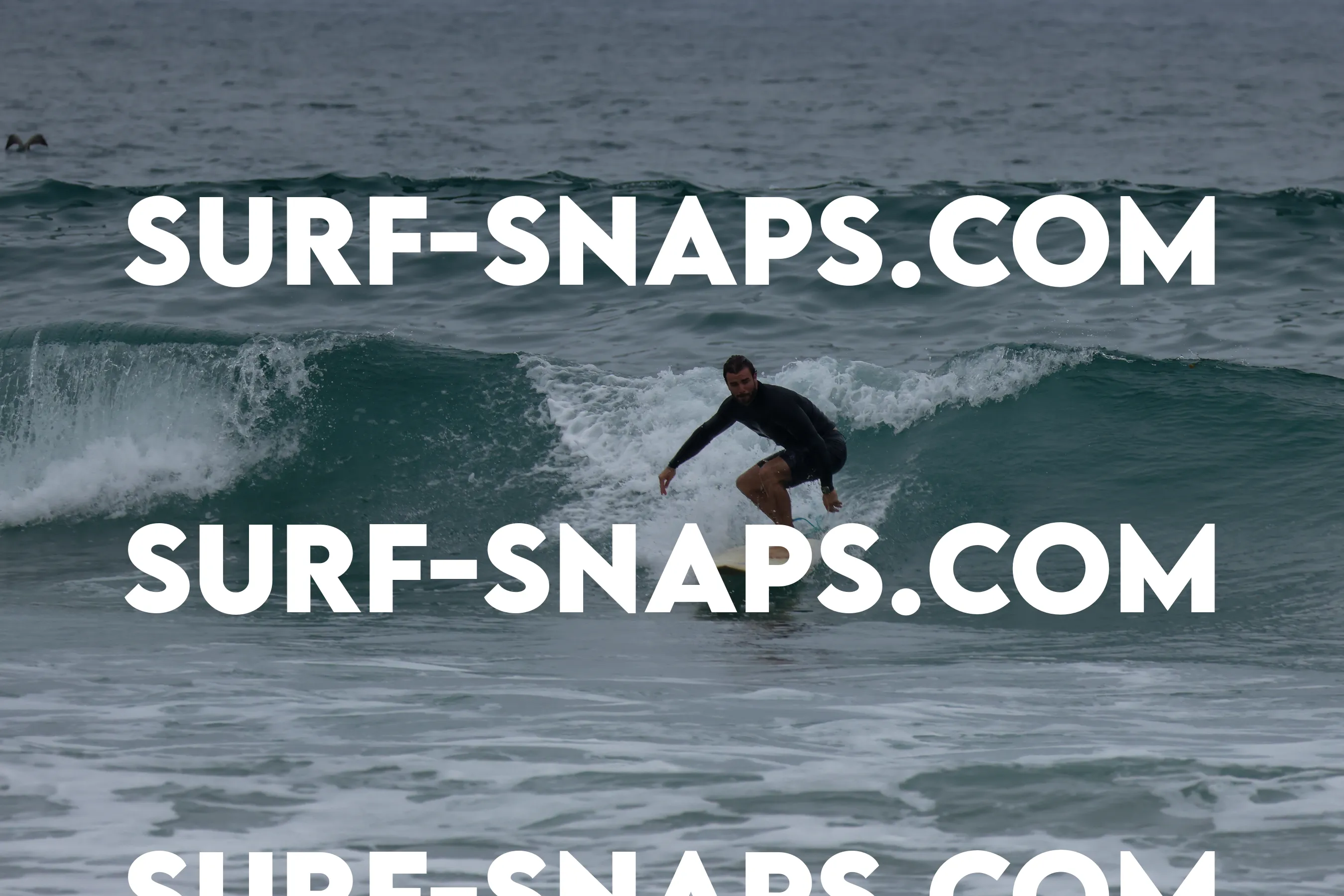 Pacific Beach photo 10