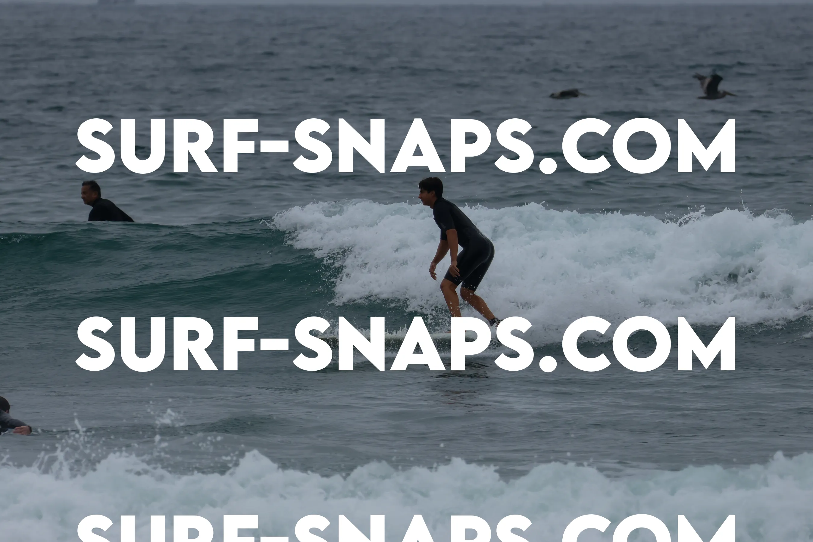 Pacific Beach photo 411