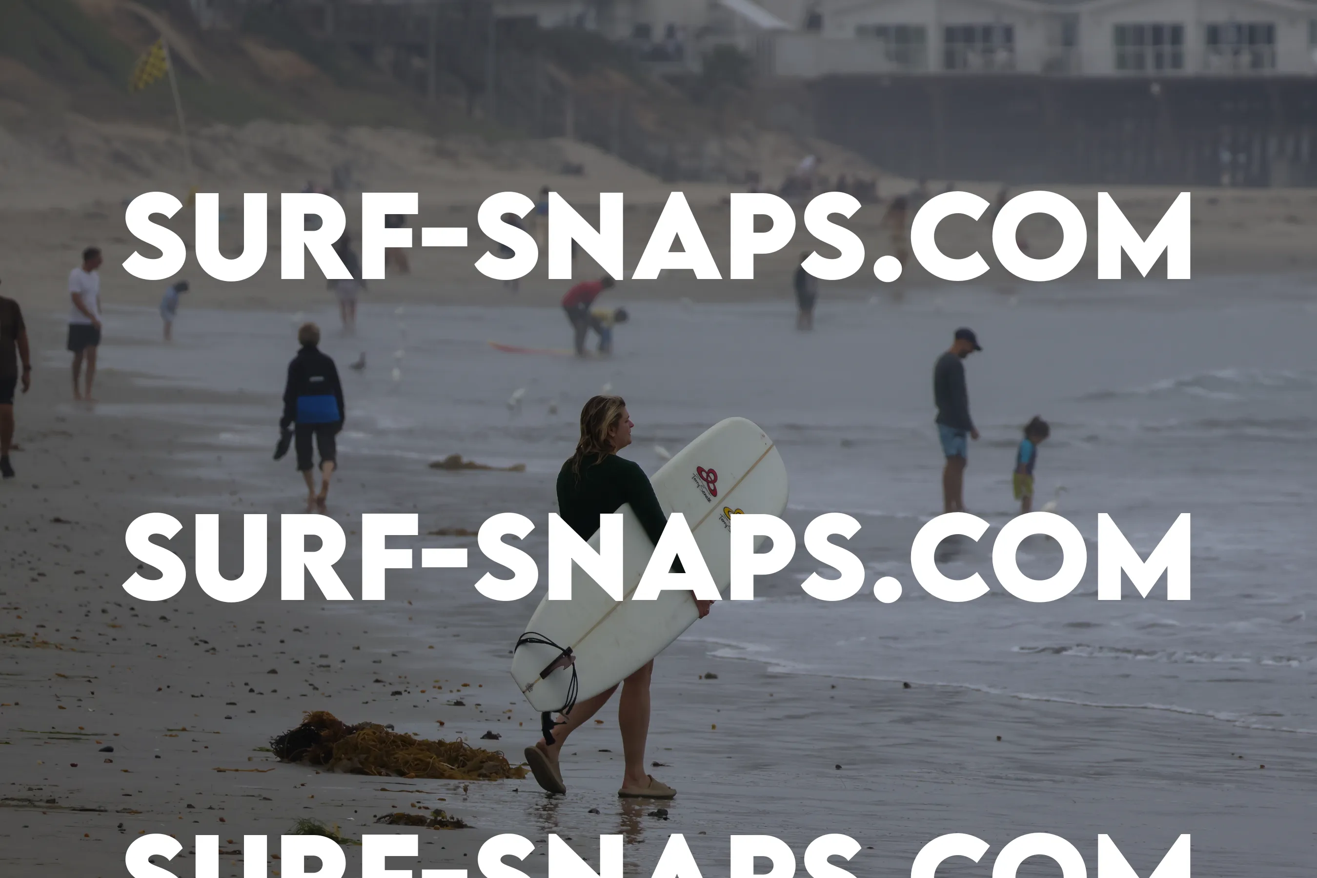 Pacific Beach photo 442