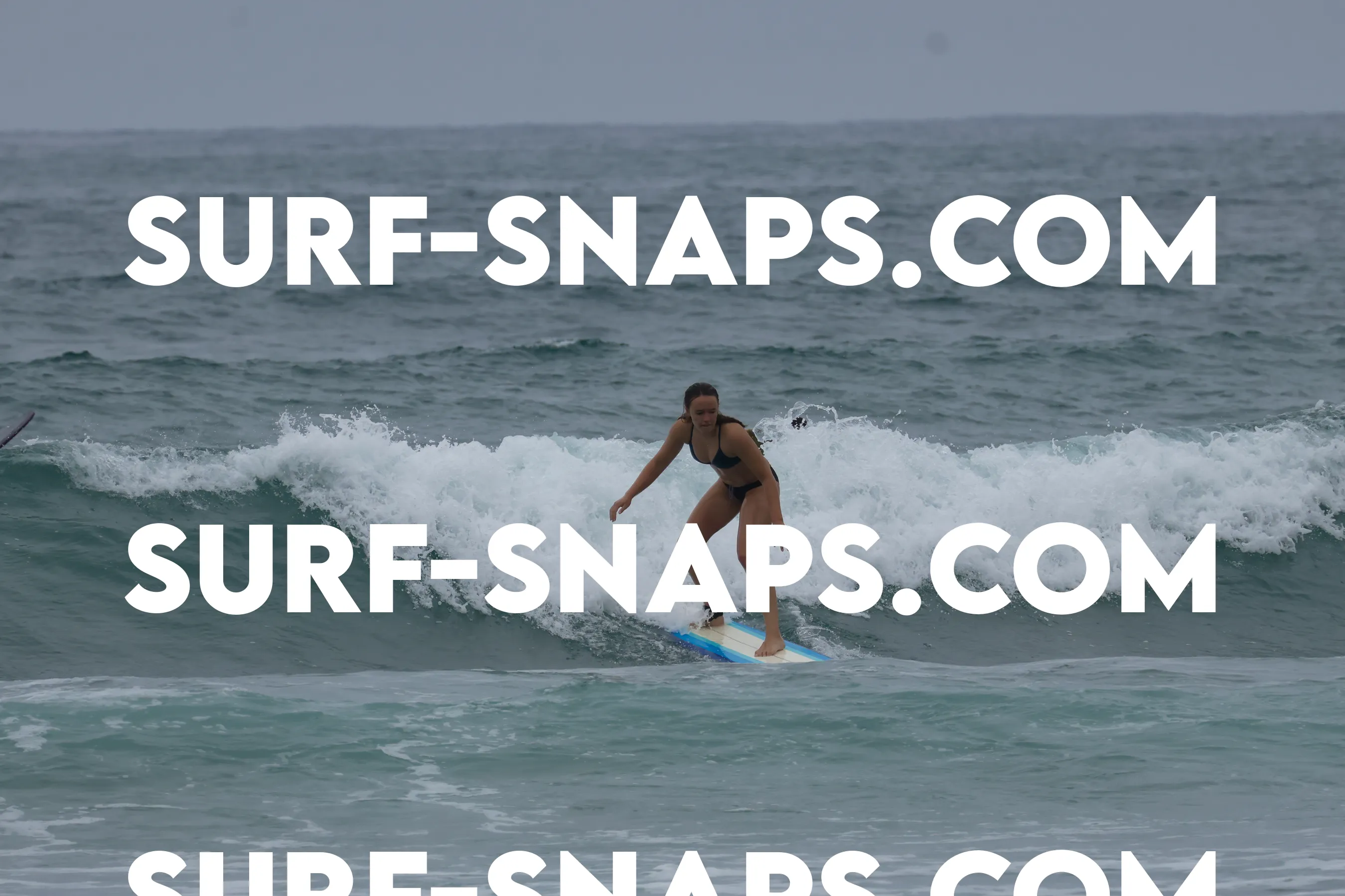 Tourmaline Surfing Park photo 291