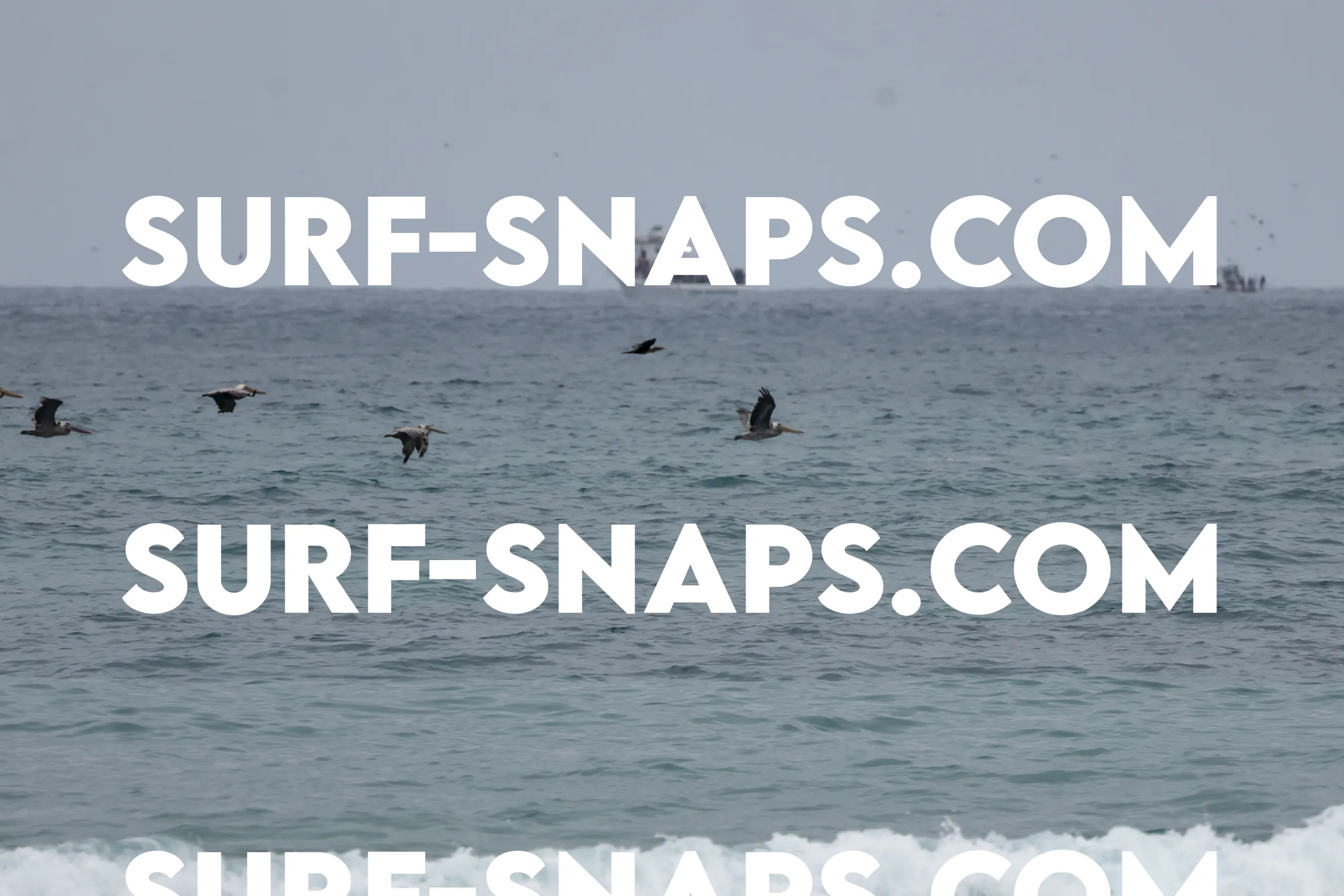 tourmaline Surf park photo 29
