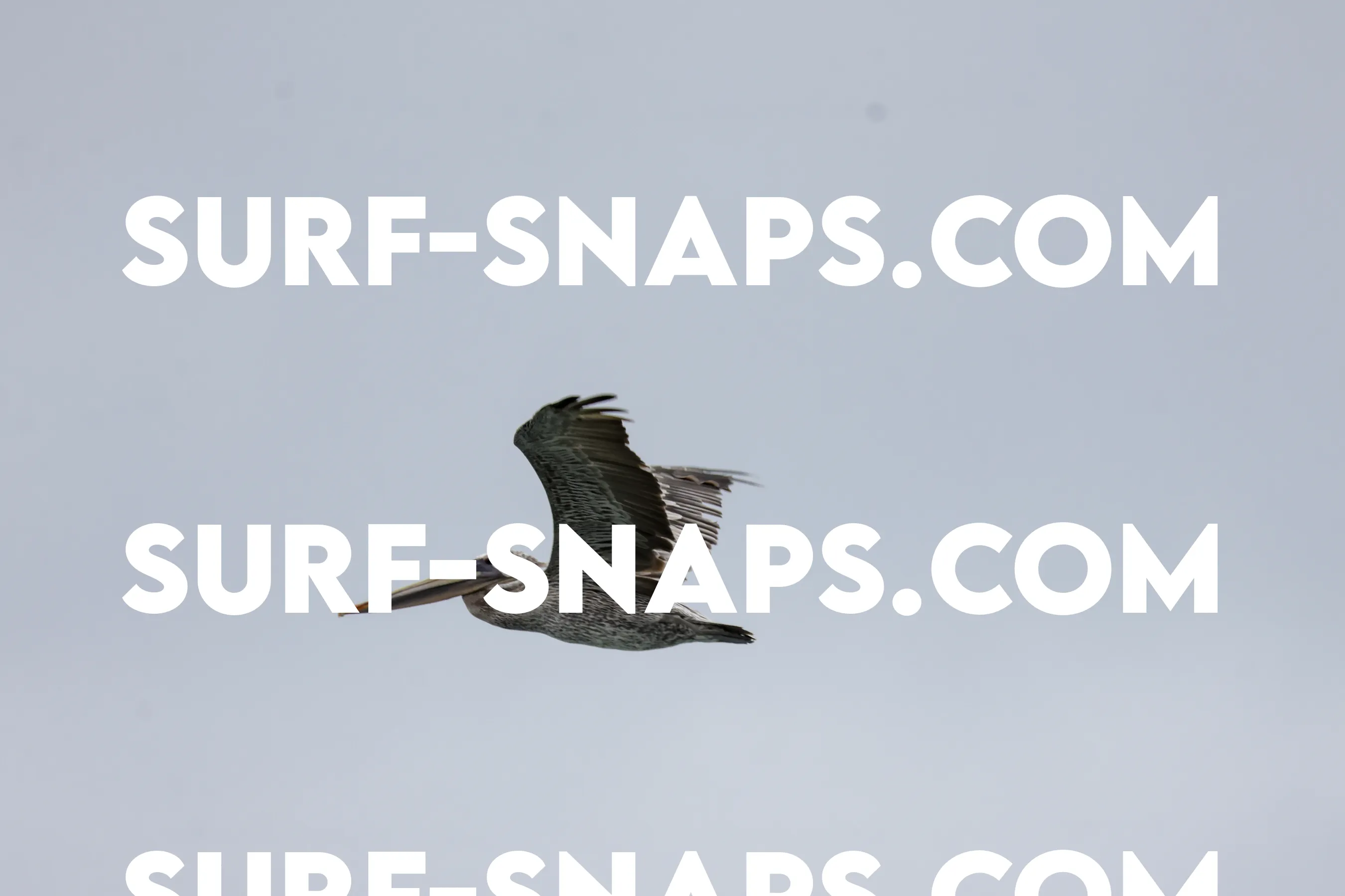 tourmaline Surf park photo 96