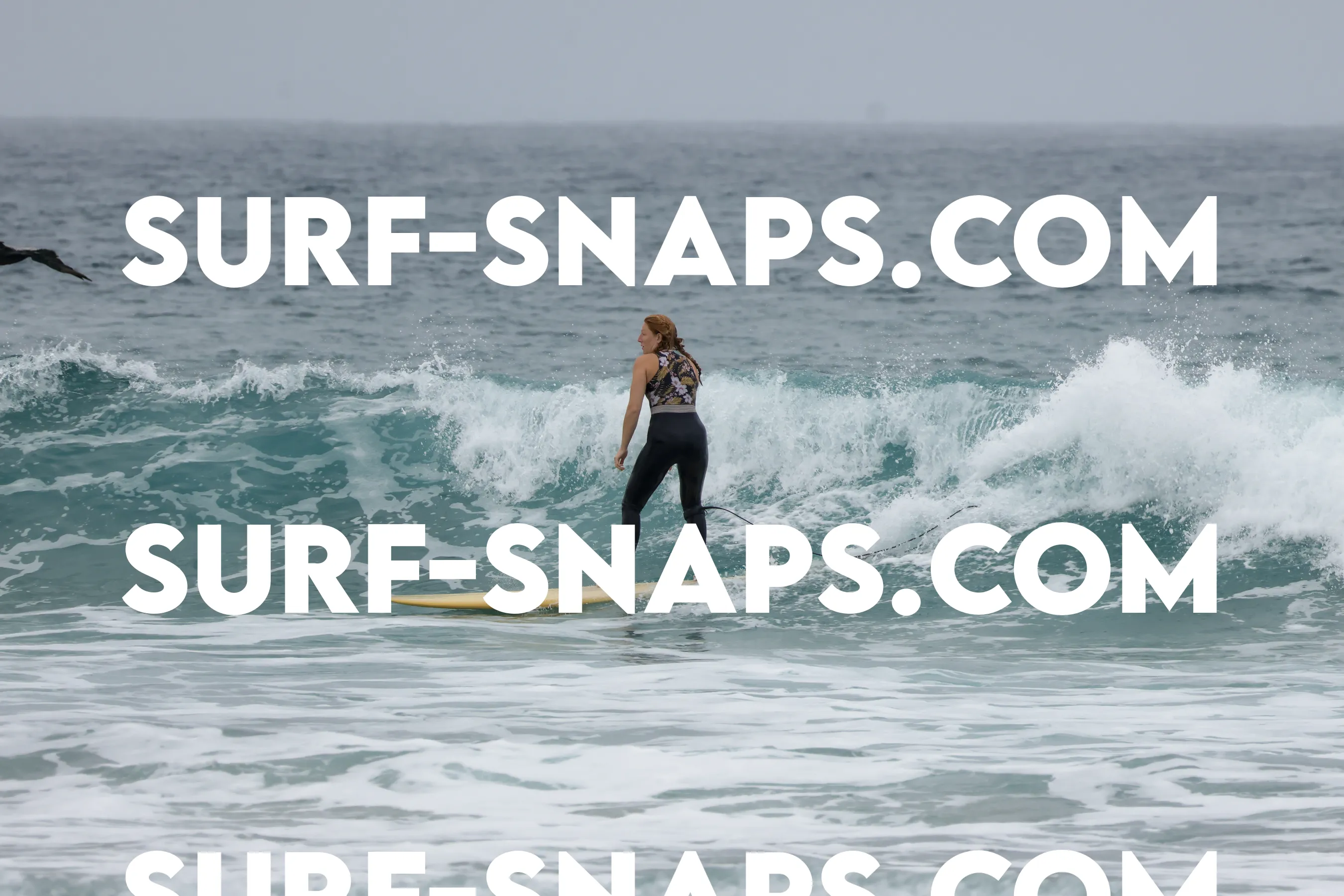 tourmaline Surf park photo 134