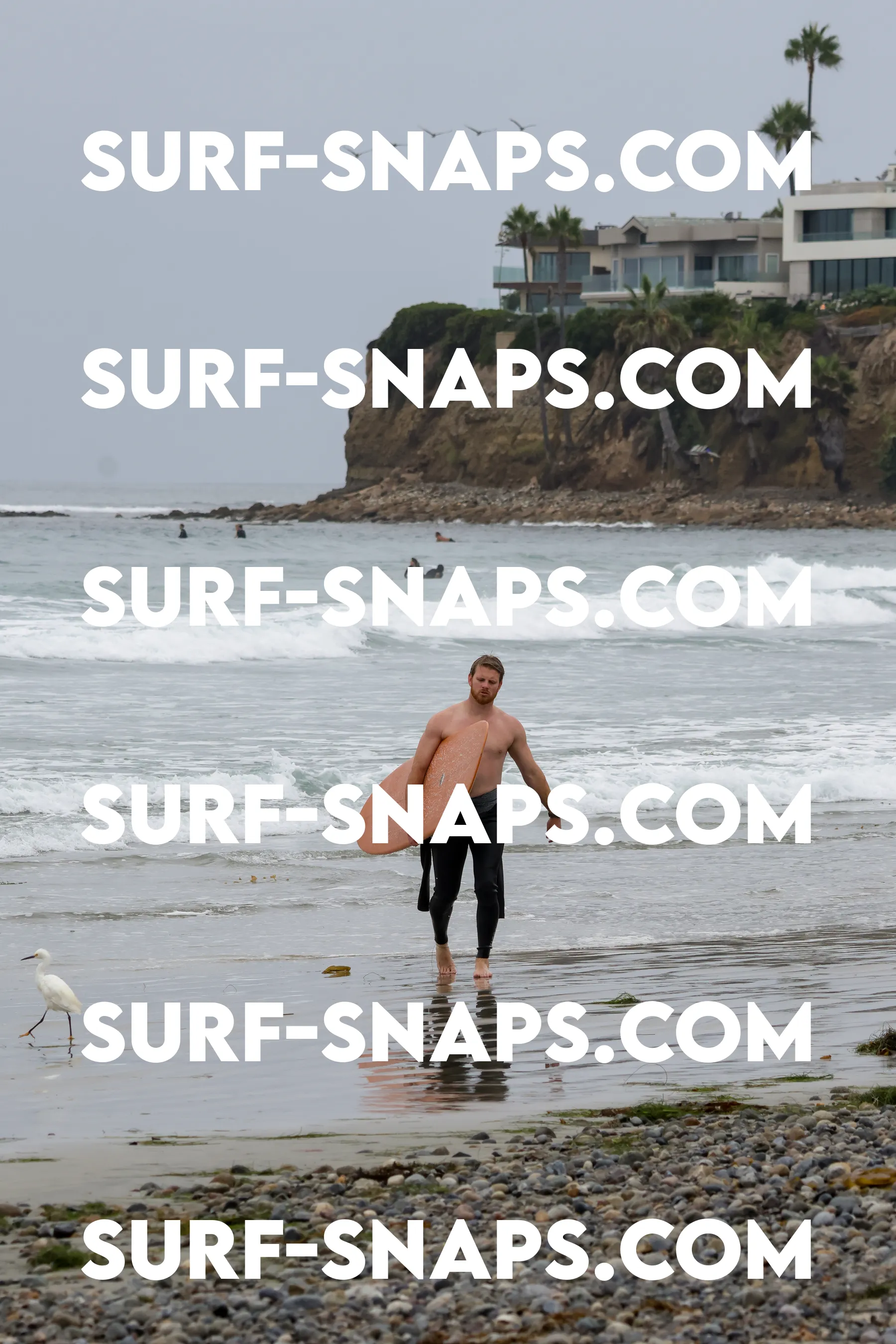 tourmaline Surf park photo 388