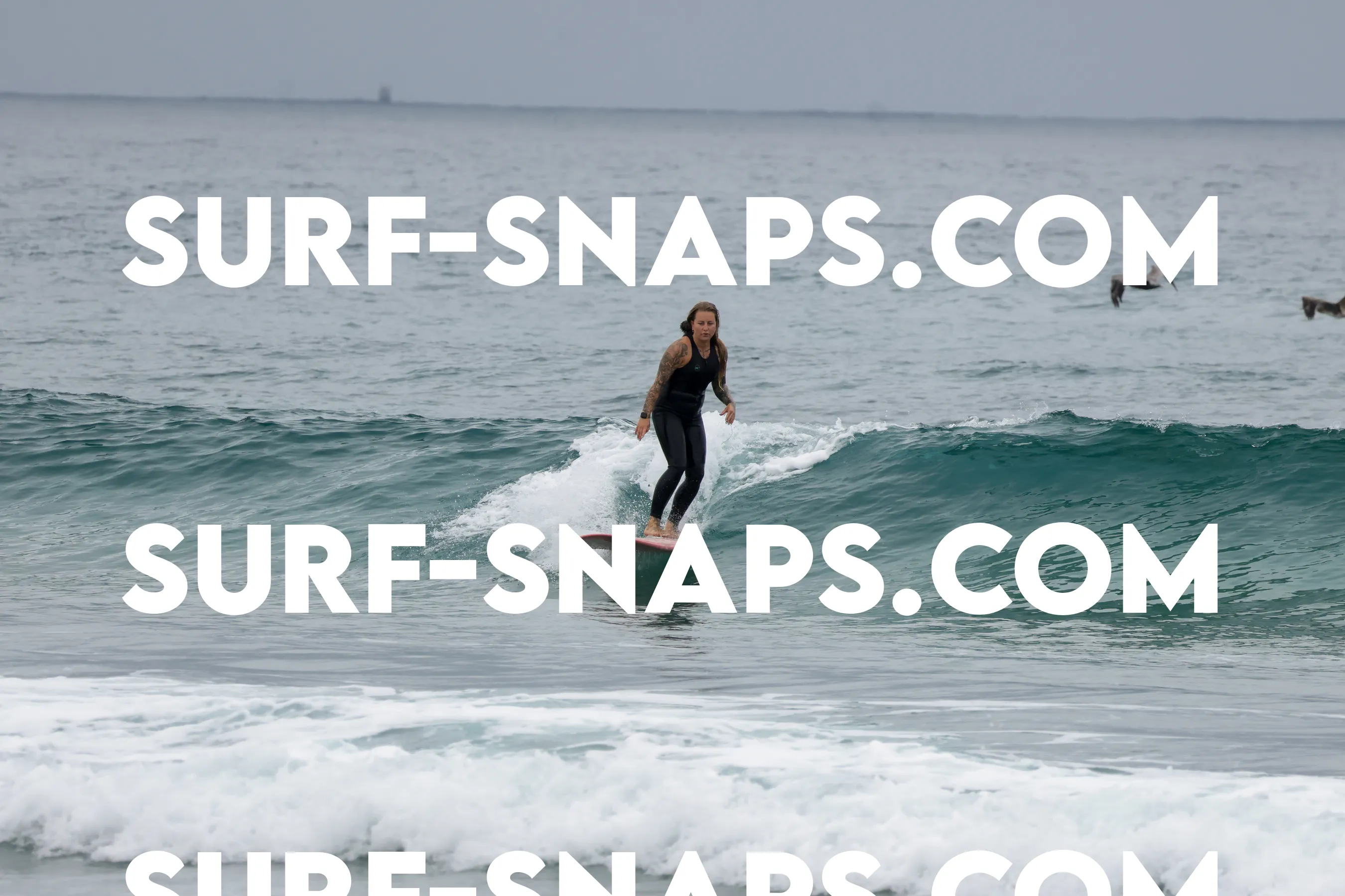 tourmaline Surf park photo 377