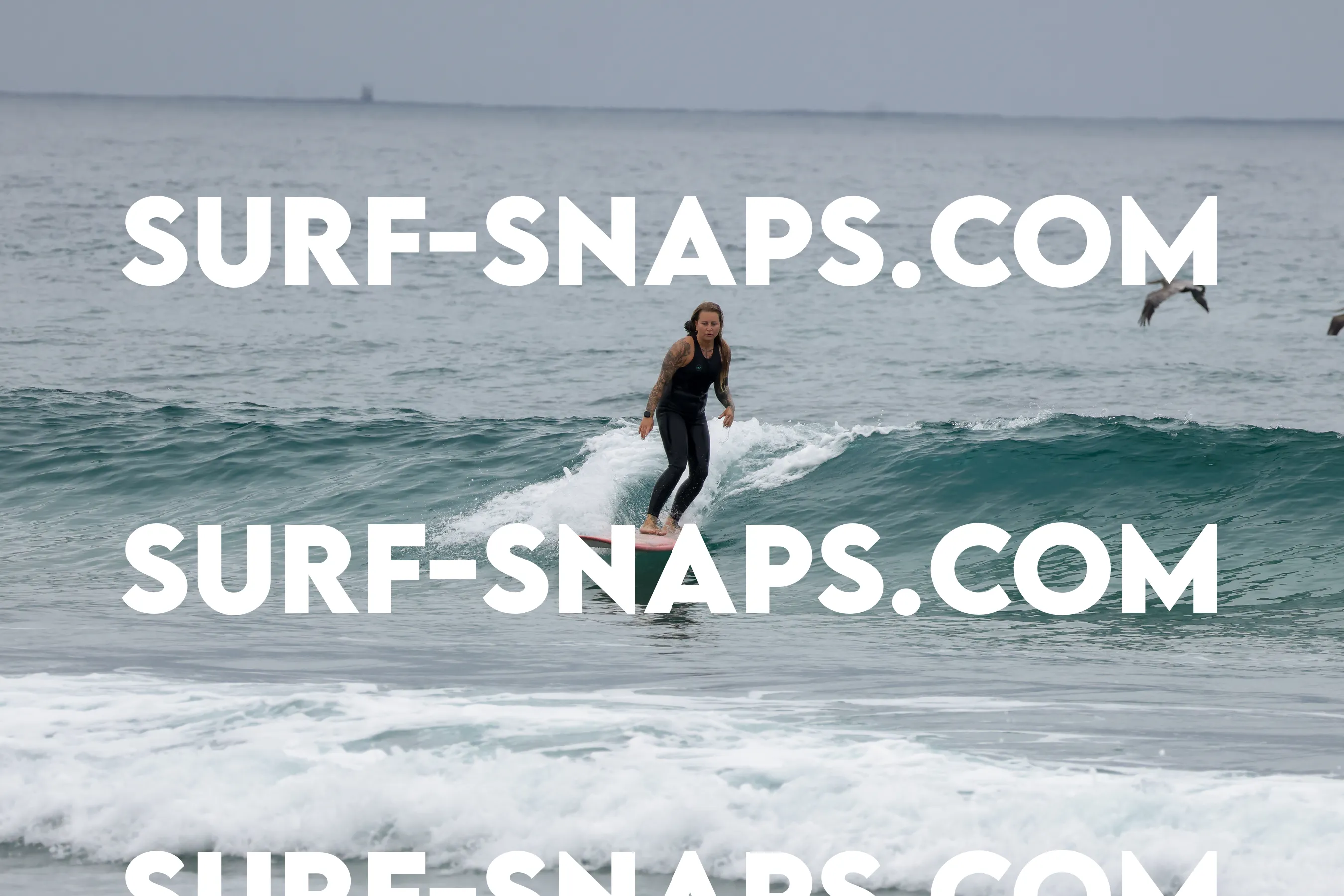 tourmaline Surf park photo 391