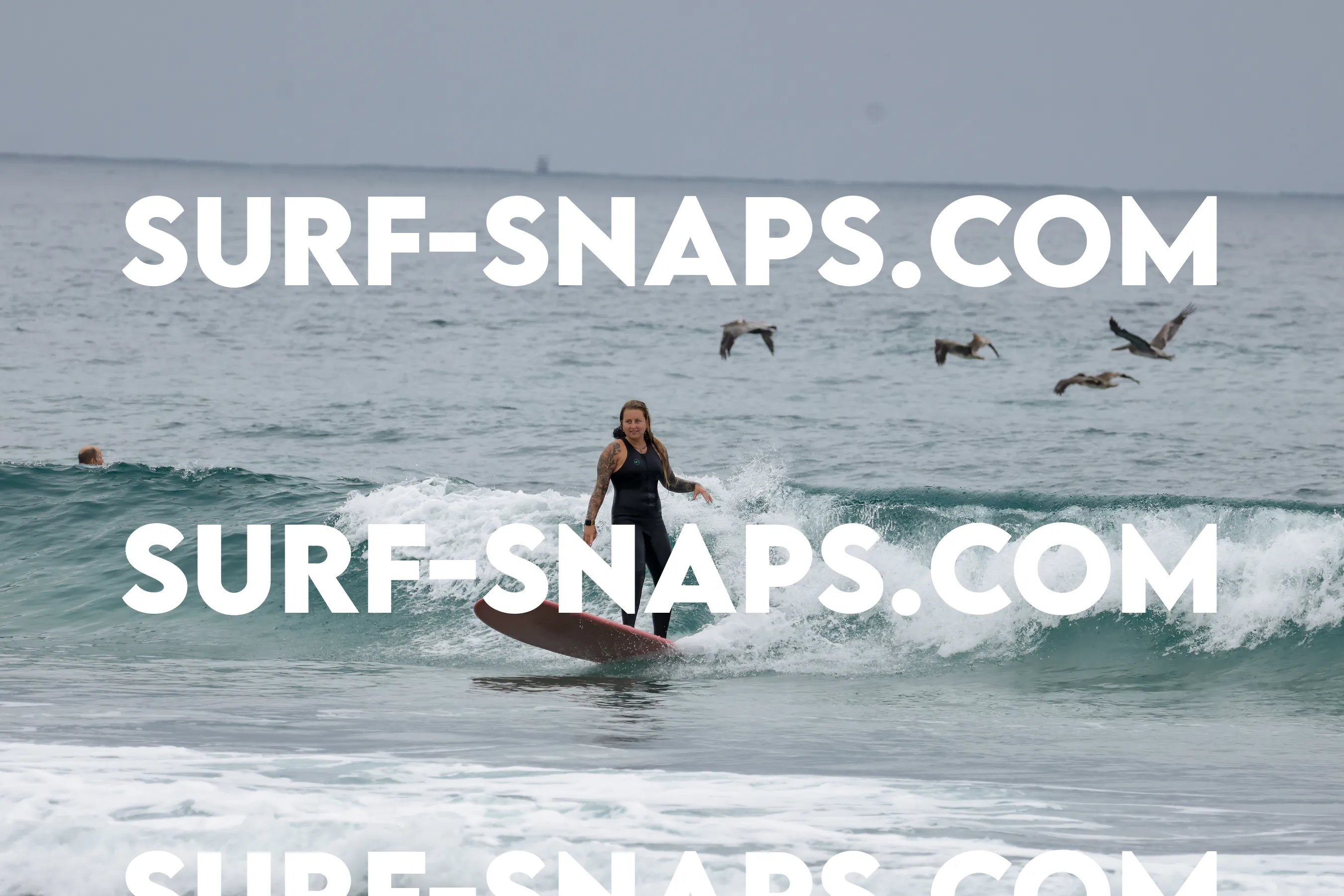 tourmaline Surf park photo 392