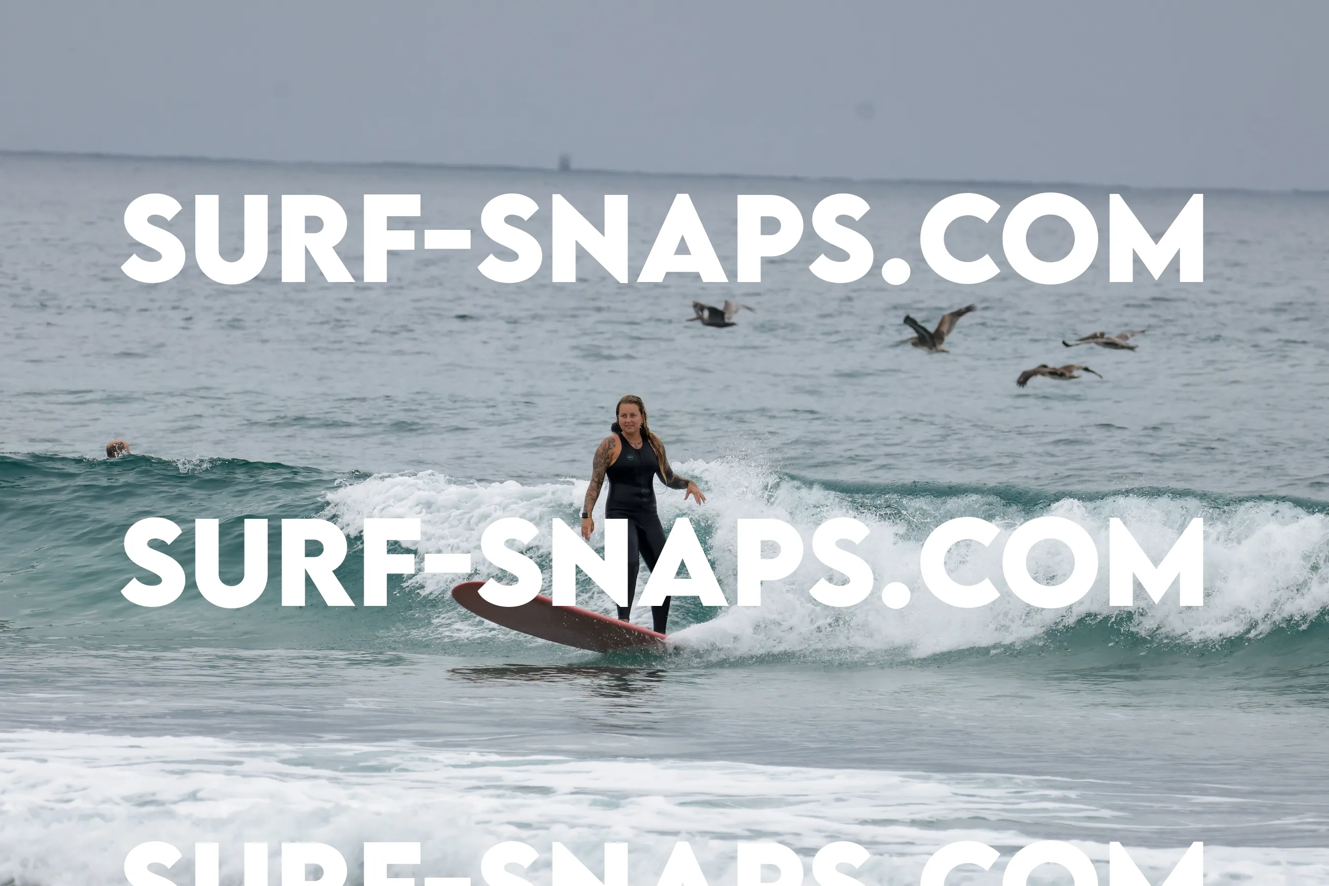 tourmaline Surf park photo 393