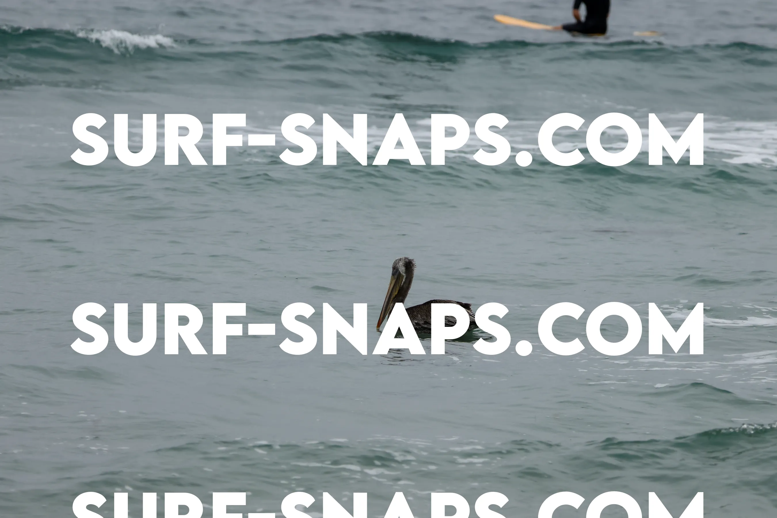 tourmaline Surf park photo 396